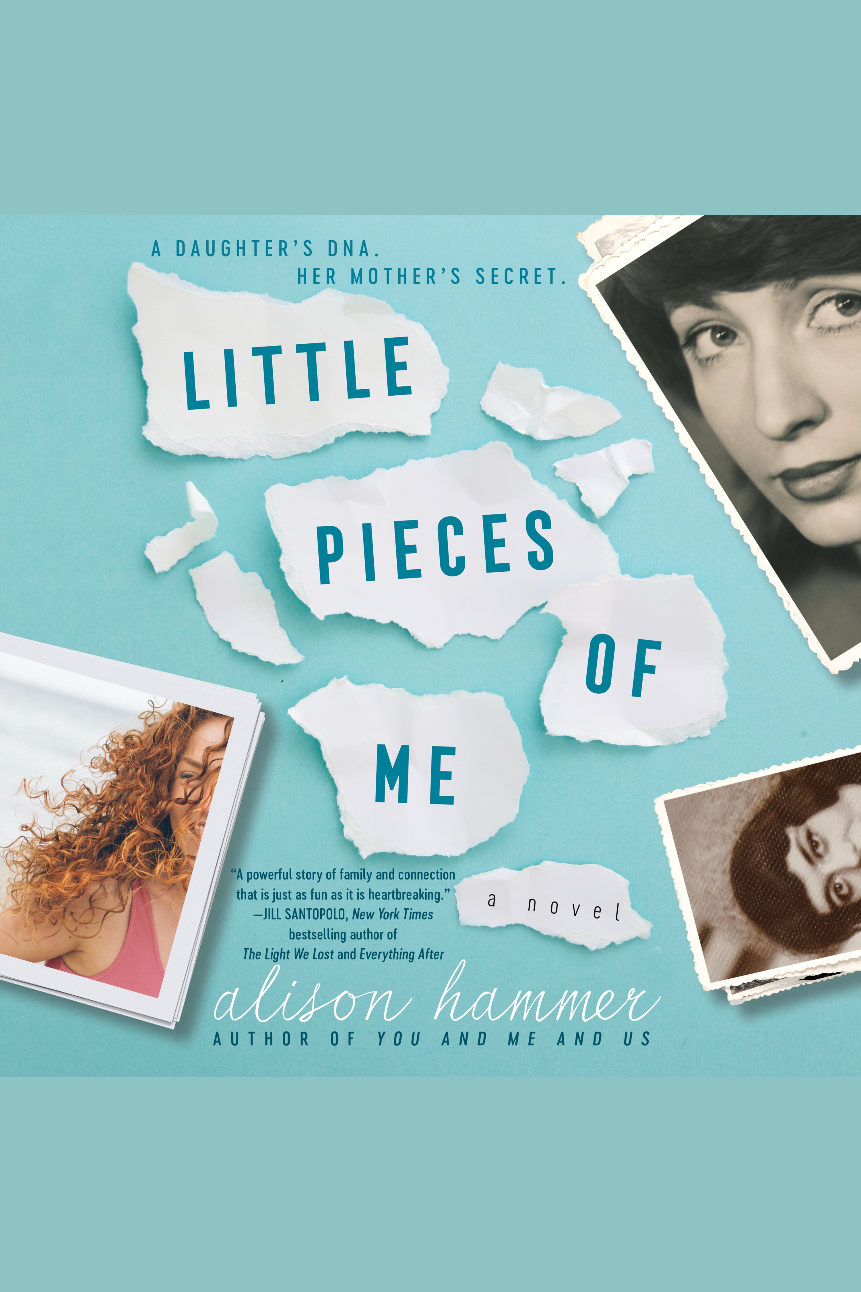 Image de couverture de Little Pieces of Me [electronic resource] : A Novel