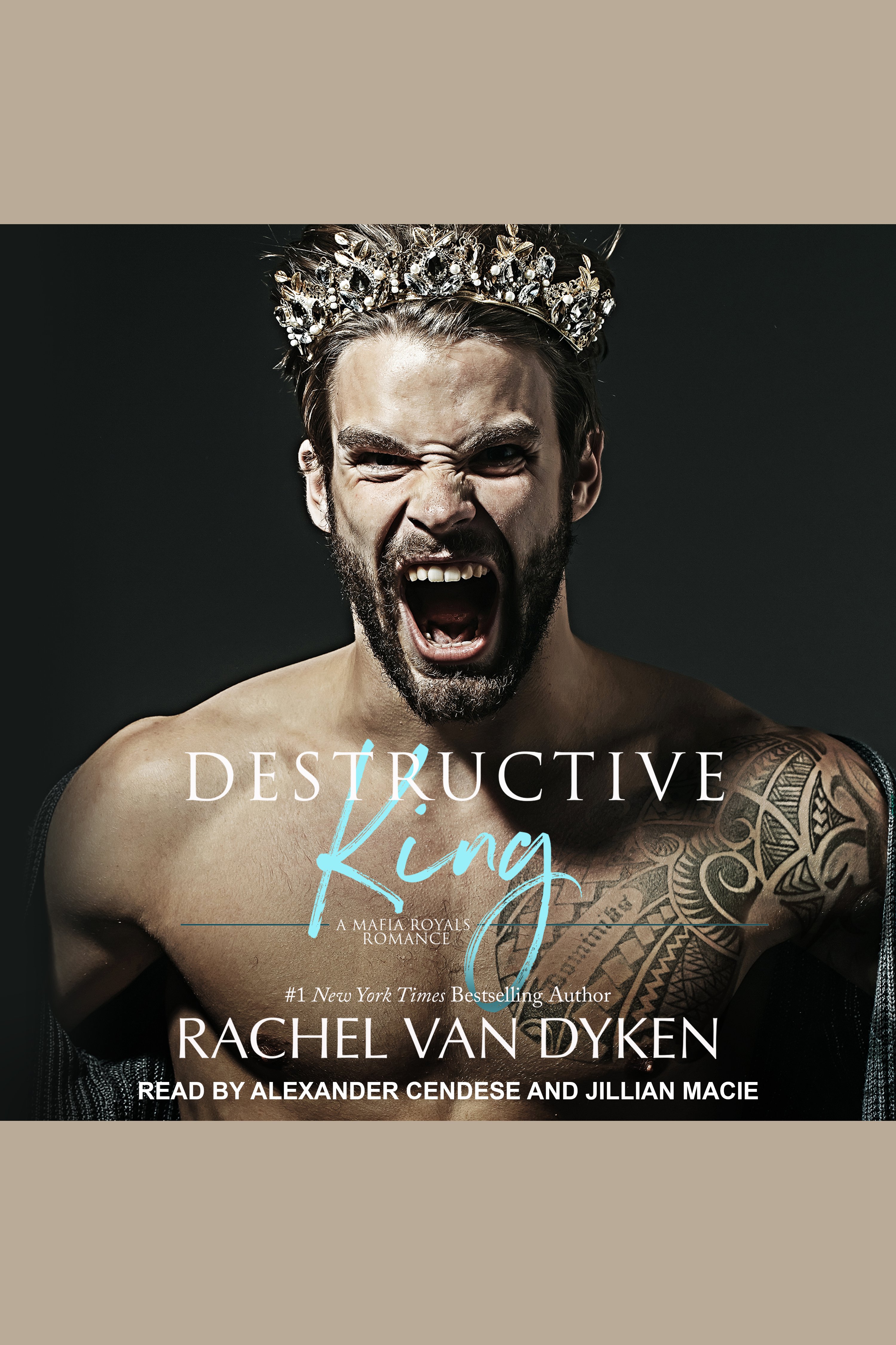 Destructive King cover image