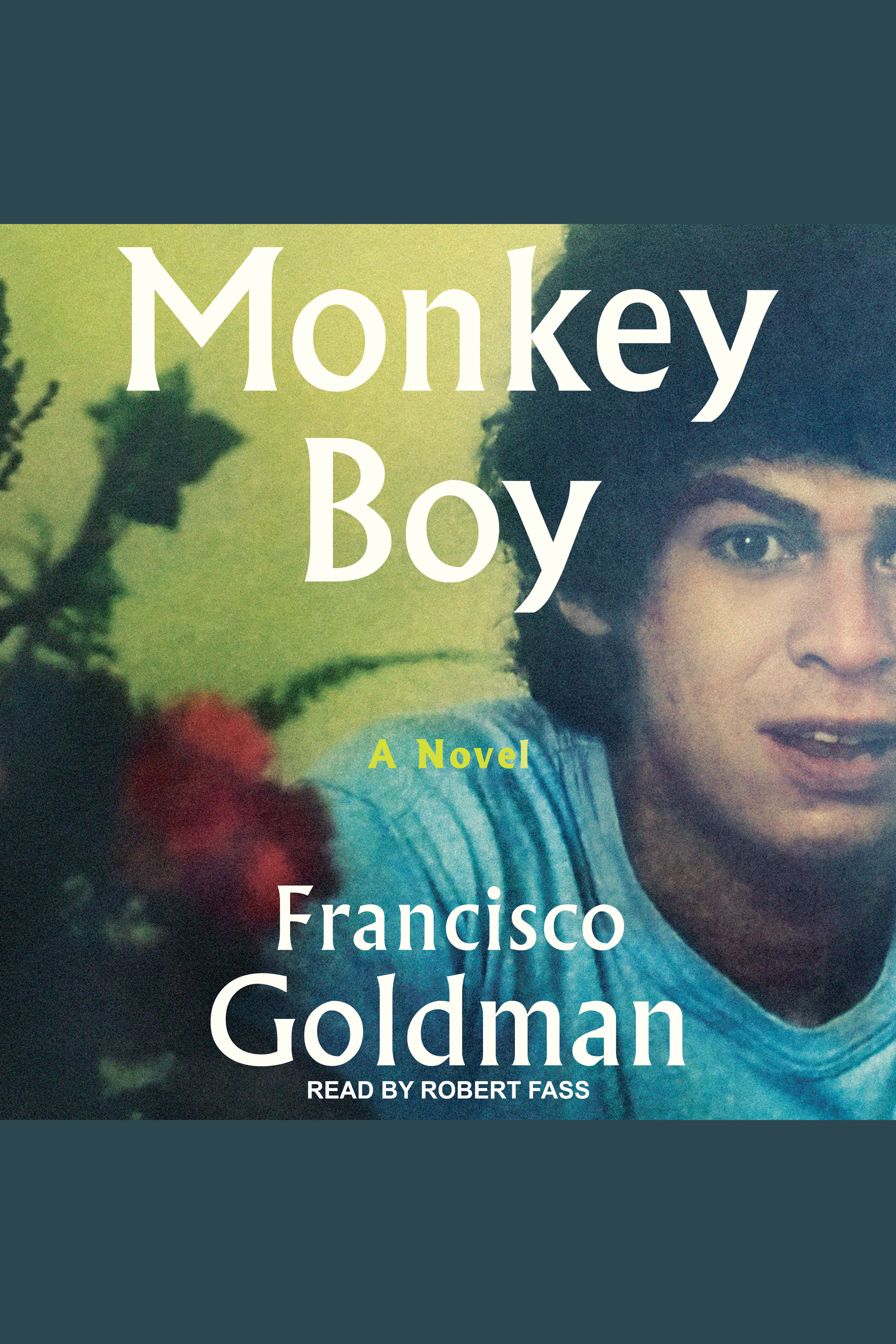 Umschlagbild für Monkey Boy [electronic resource] : A Novel