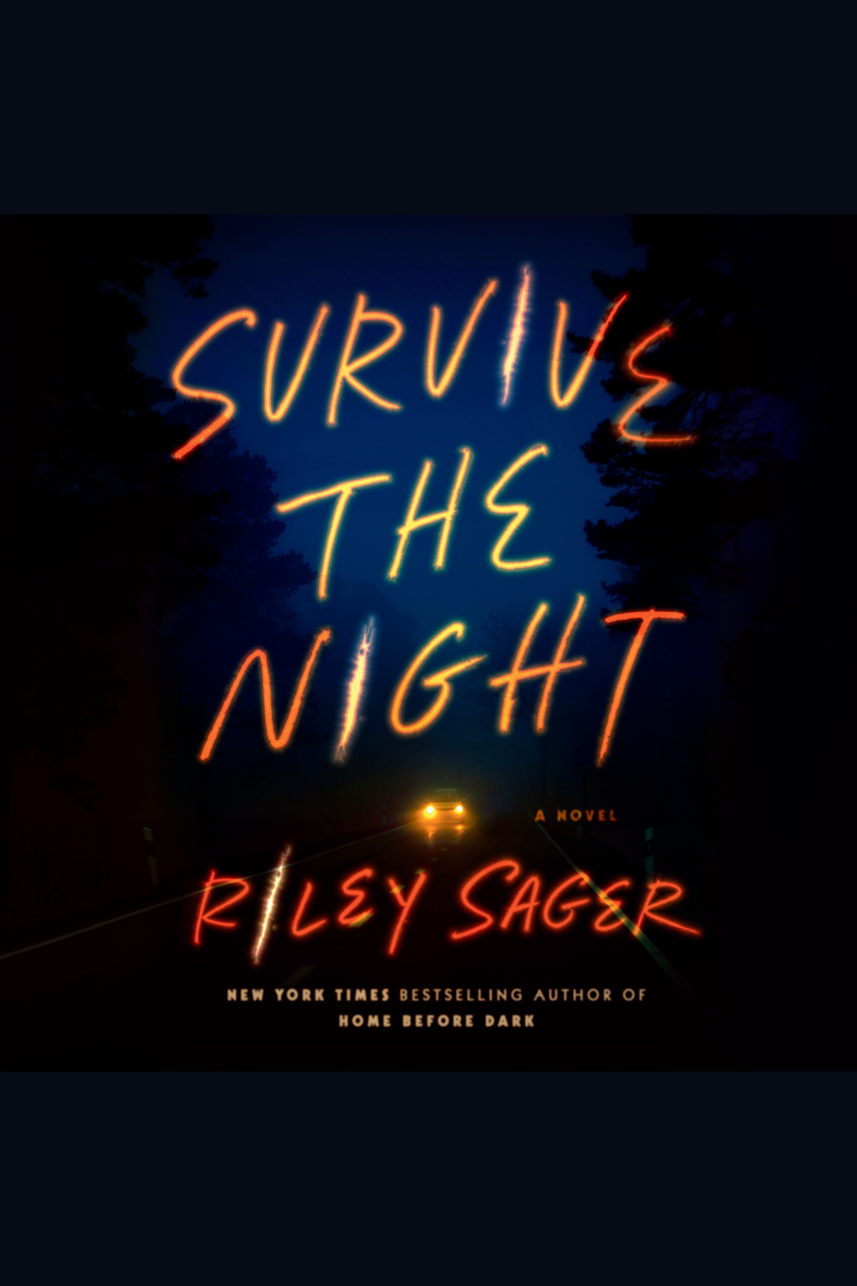 Umschlagbild für Survive the Night [electronic resource] : A Novel