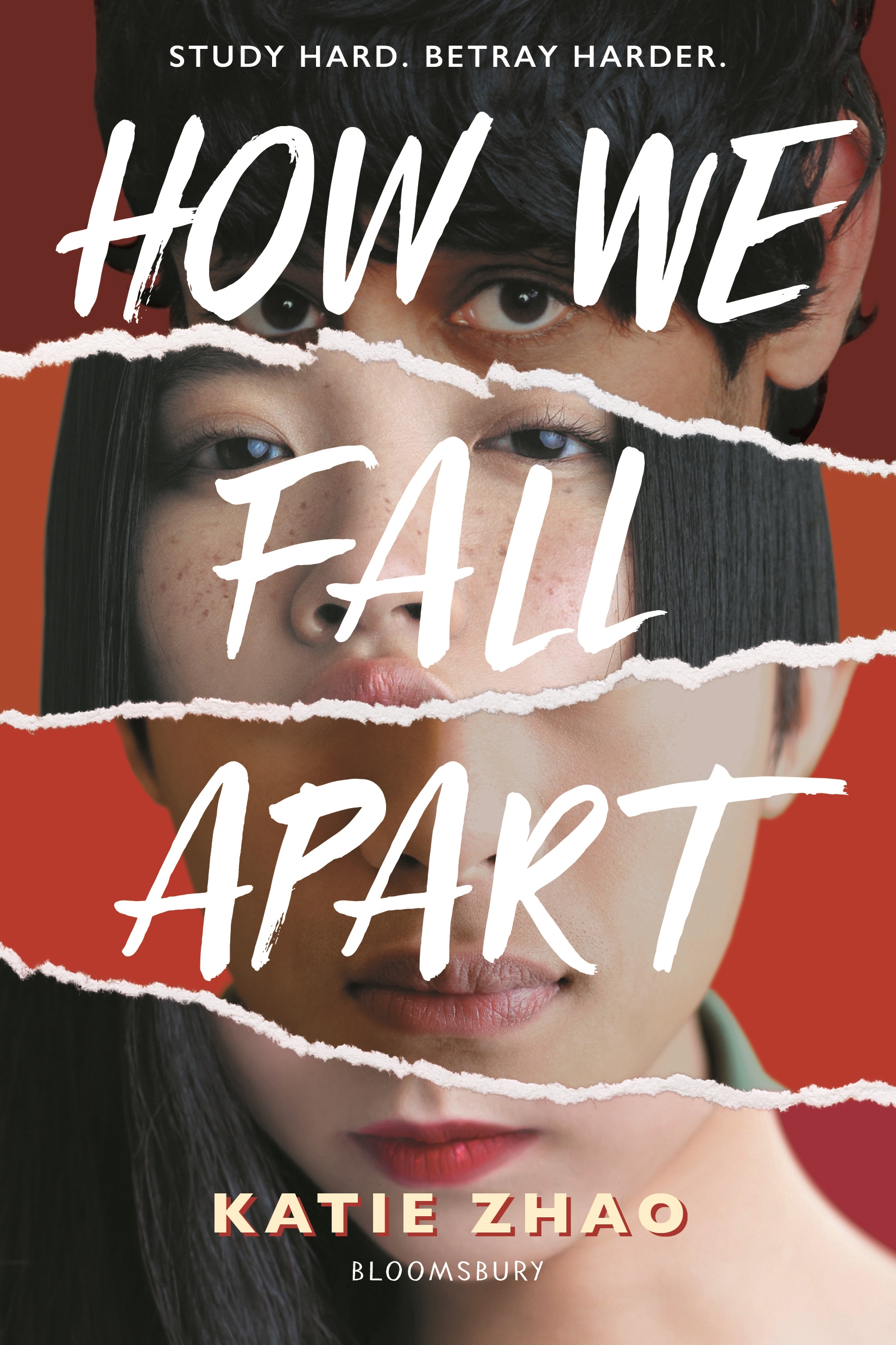 Cover image for How We Fall Apart [electronic resource] :