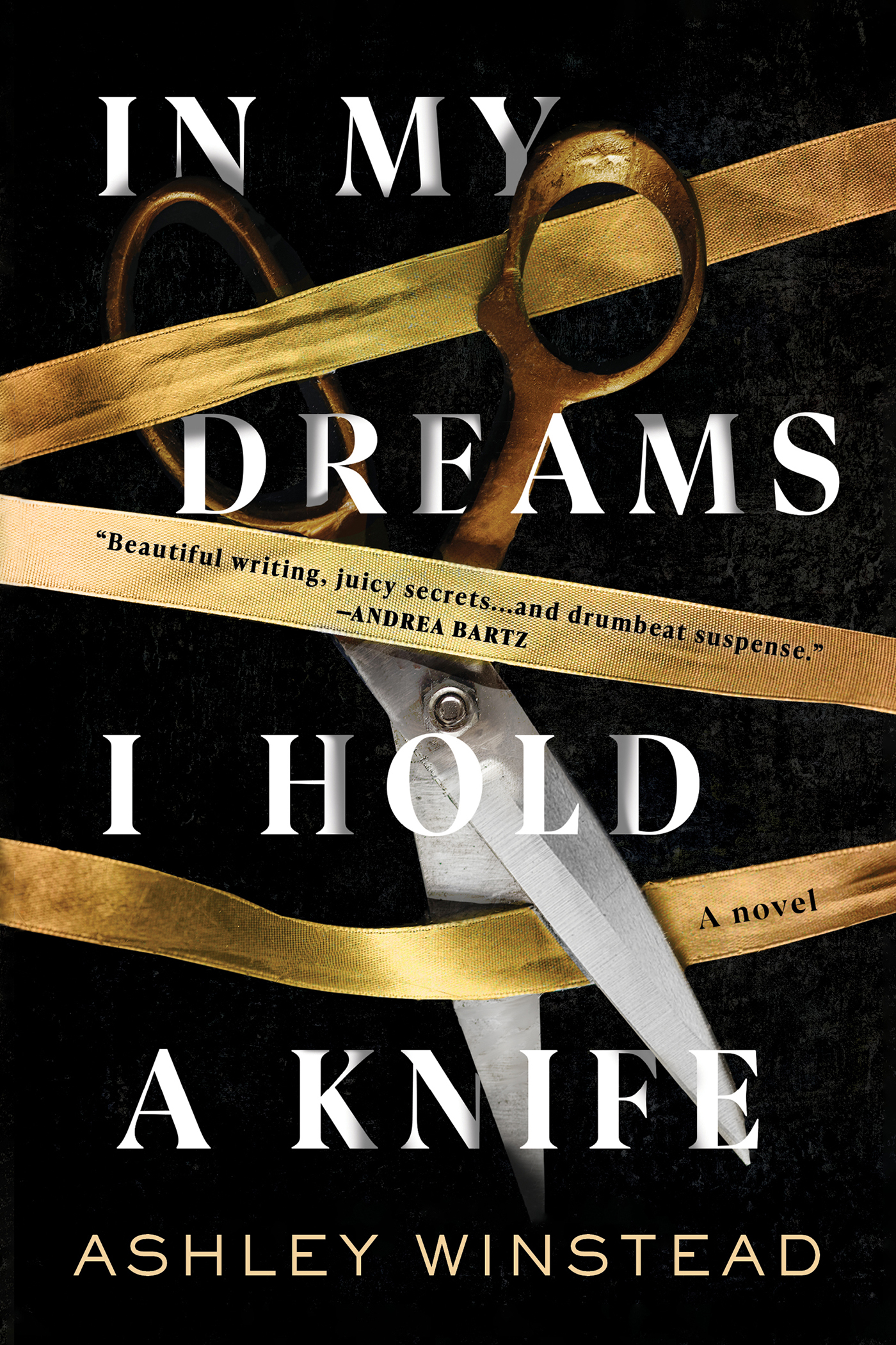Cover image for In My Dreams I Hold a Knife [electronic resource] : A Novel