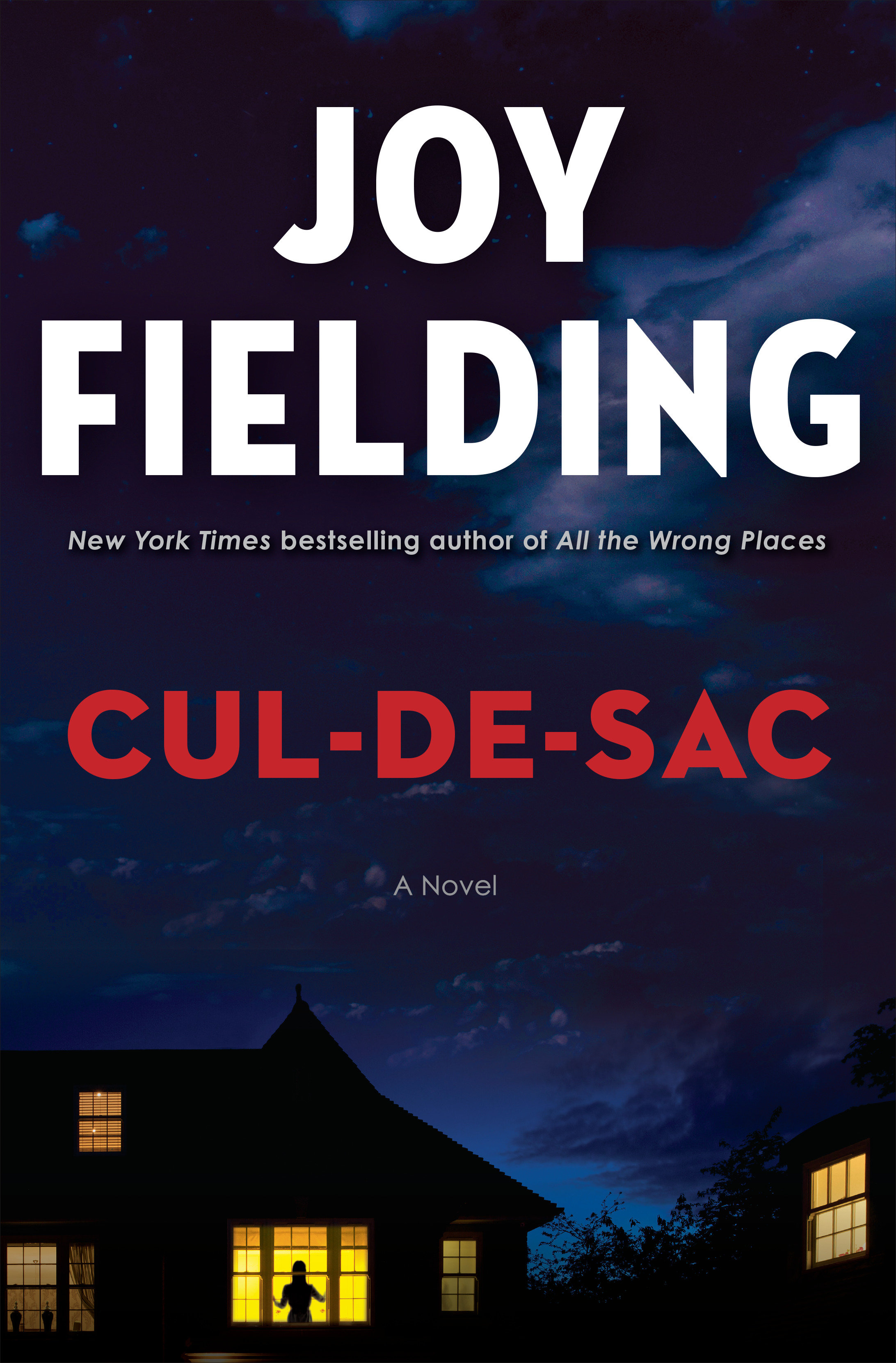 Cover image for Cul-de-sac [electronic resource] : A Novel