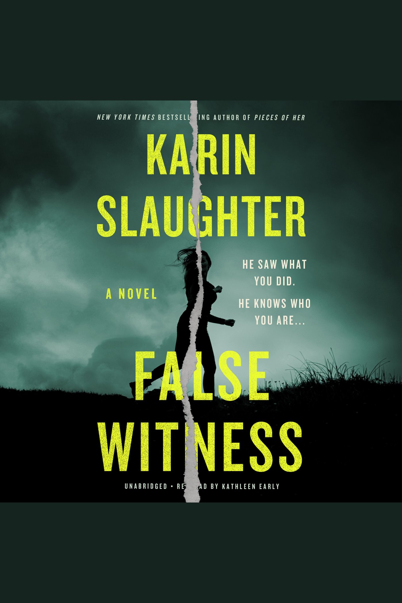 Umschlagbild für False Witness [electronic resource] : A Novel