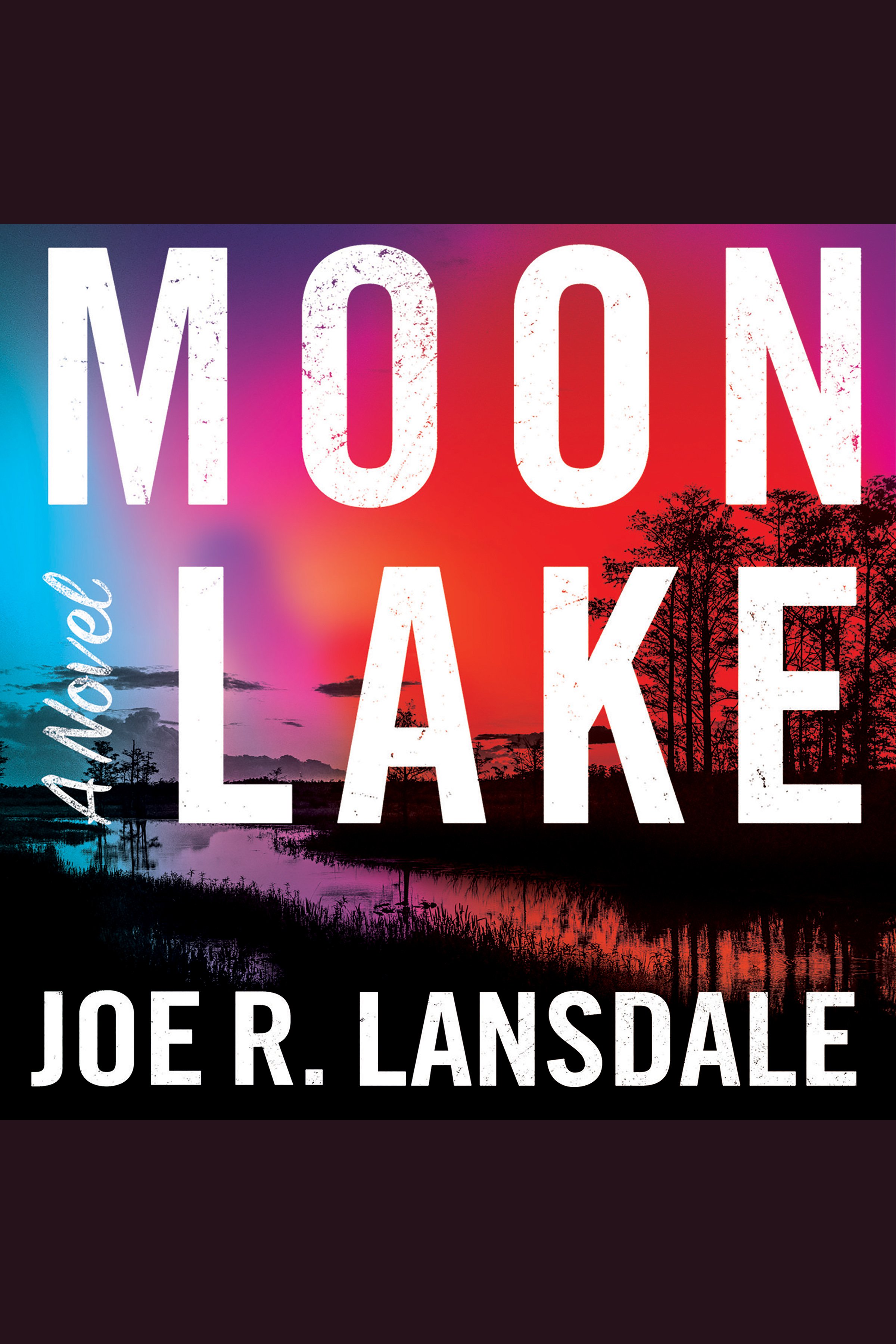 Moon Lake cover image