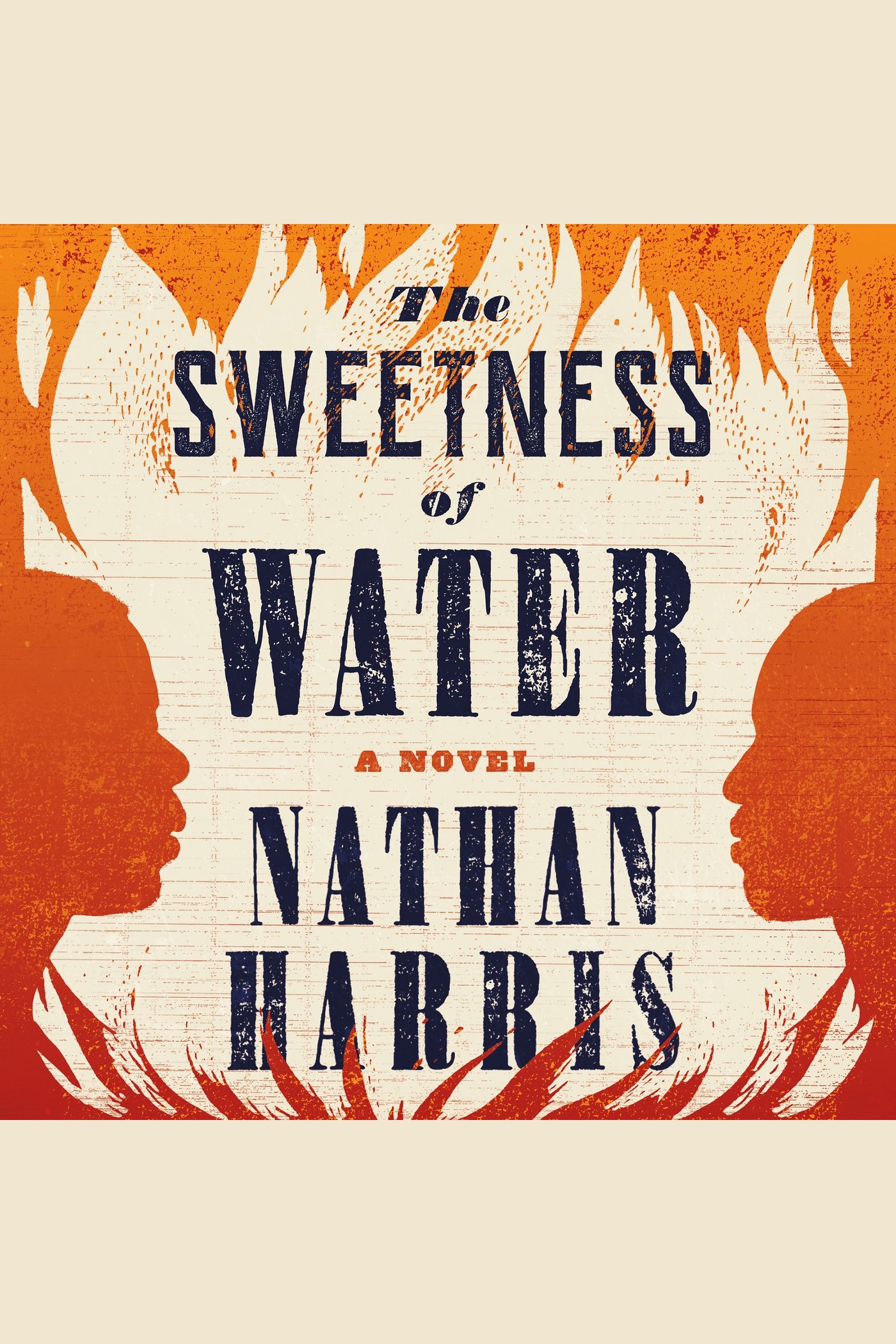 The Sweetness of Water cover image