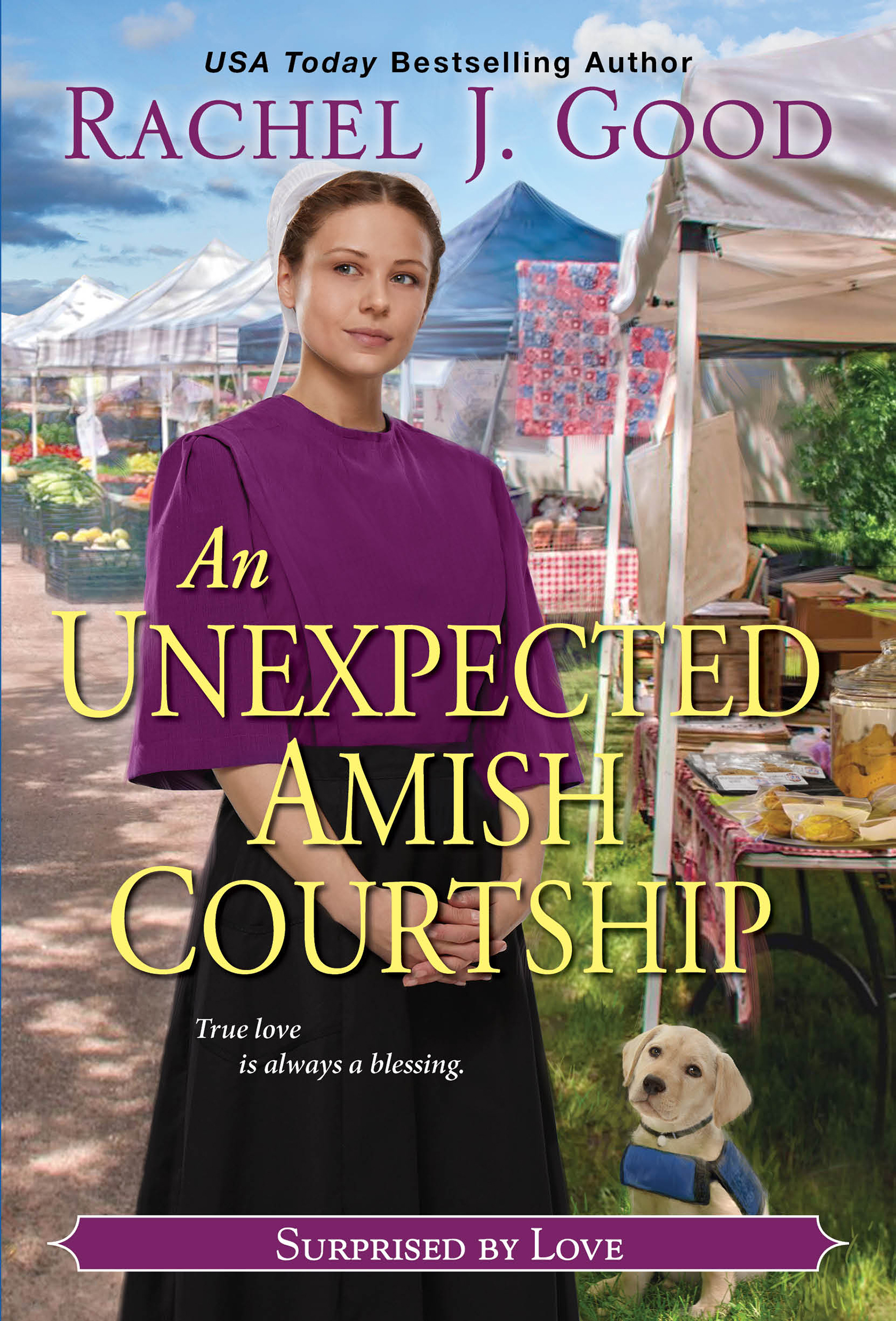 Imagen de portada para An Unexpected Amish Courtship [electronic resource] :