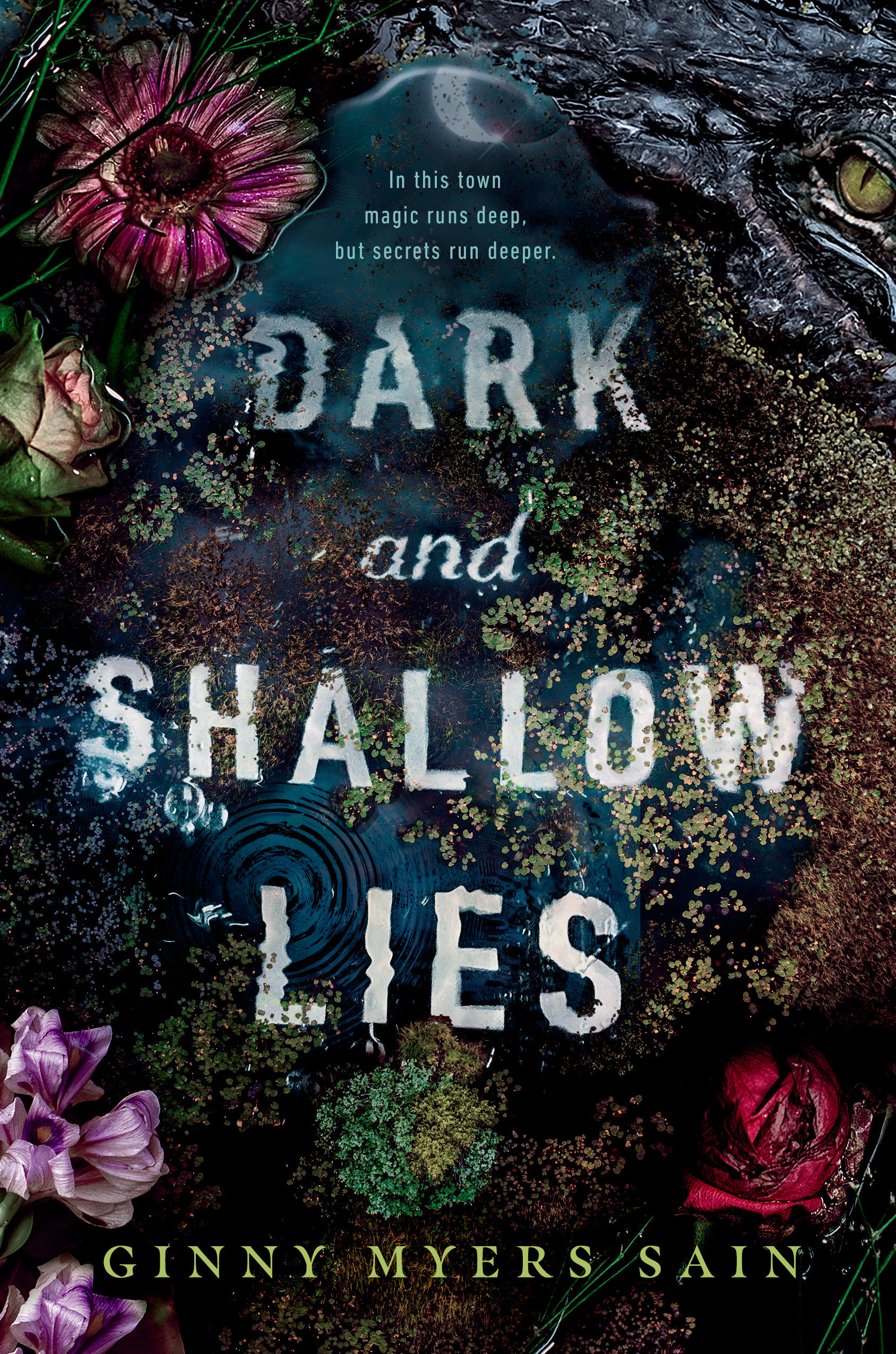 Cover Image of Dark and Shallow Lies