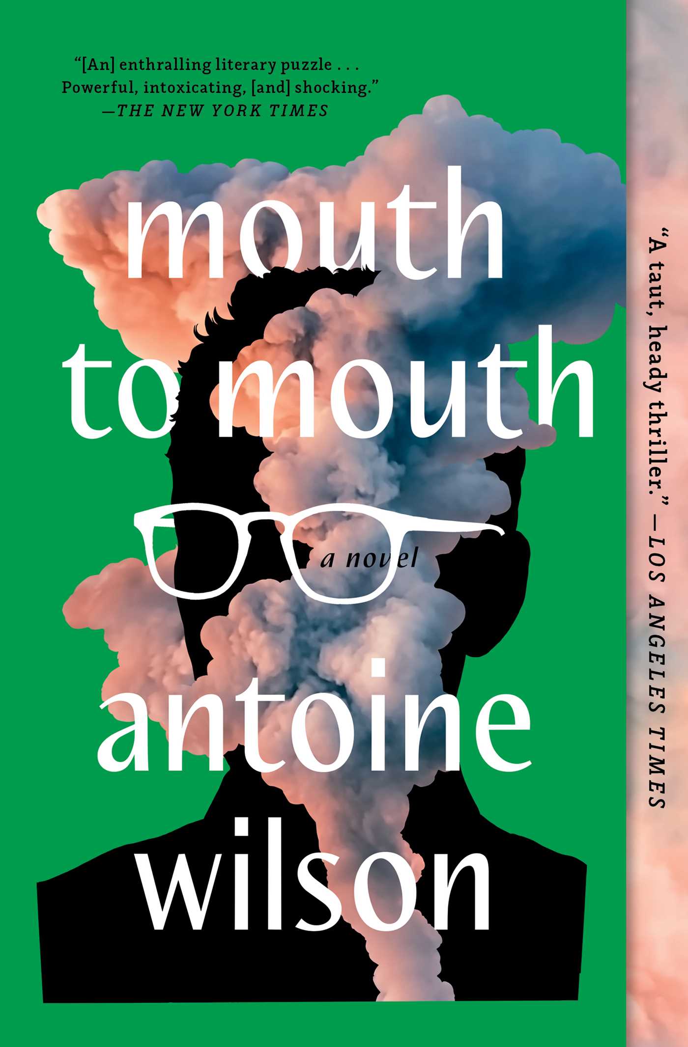 Mouth to Mouth cover image