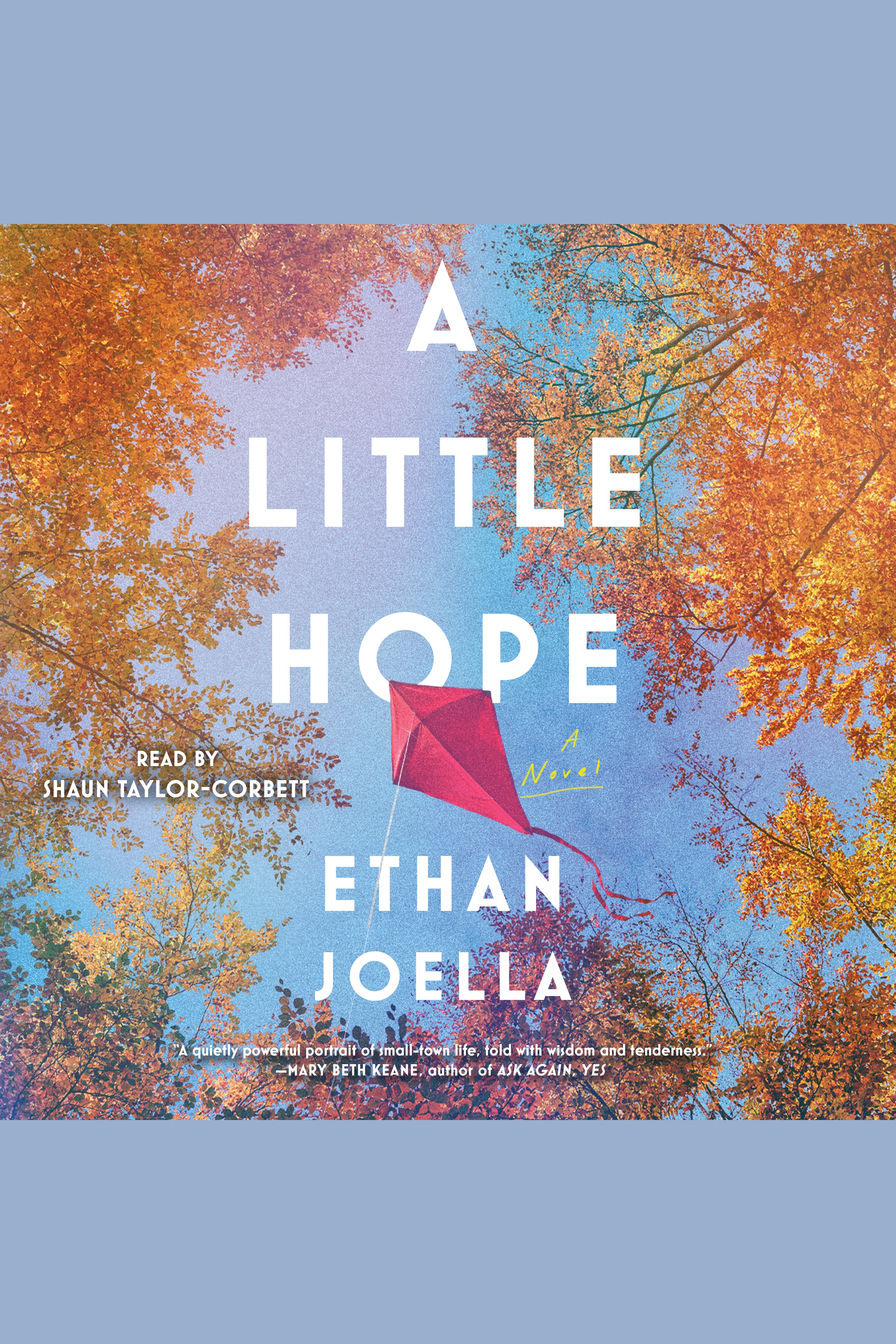 Cover image for A Little Hope [electronic resource] : A Novel