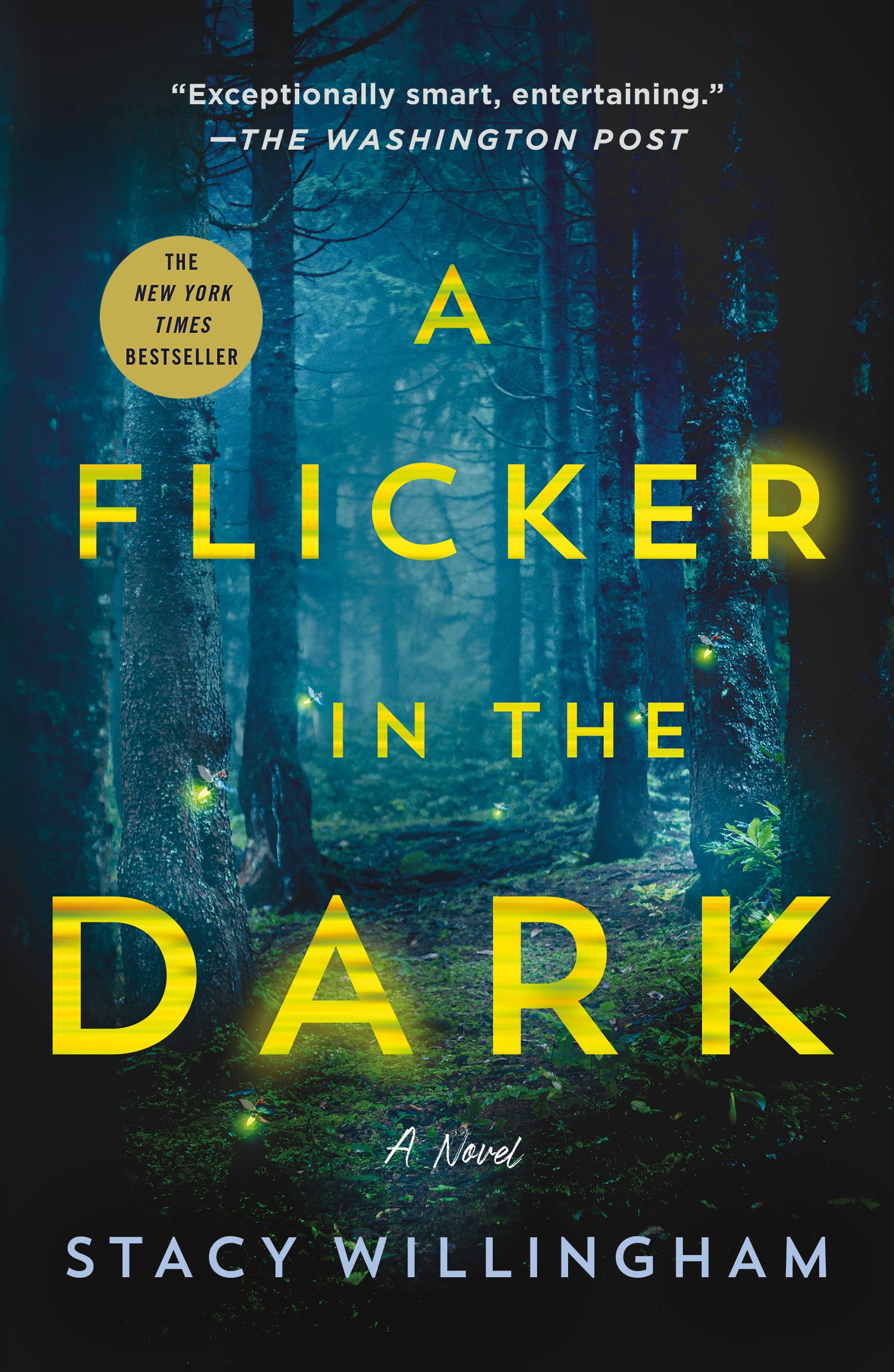 A Flicker in the Dark A Novel