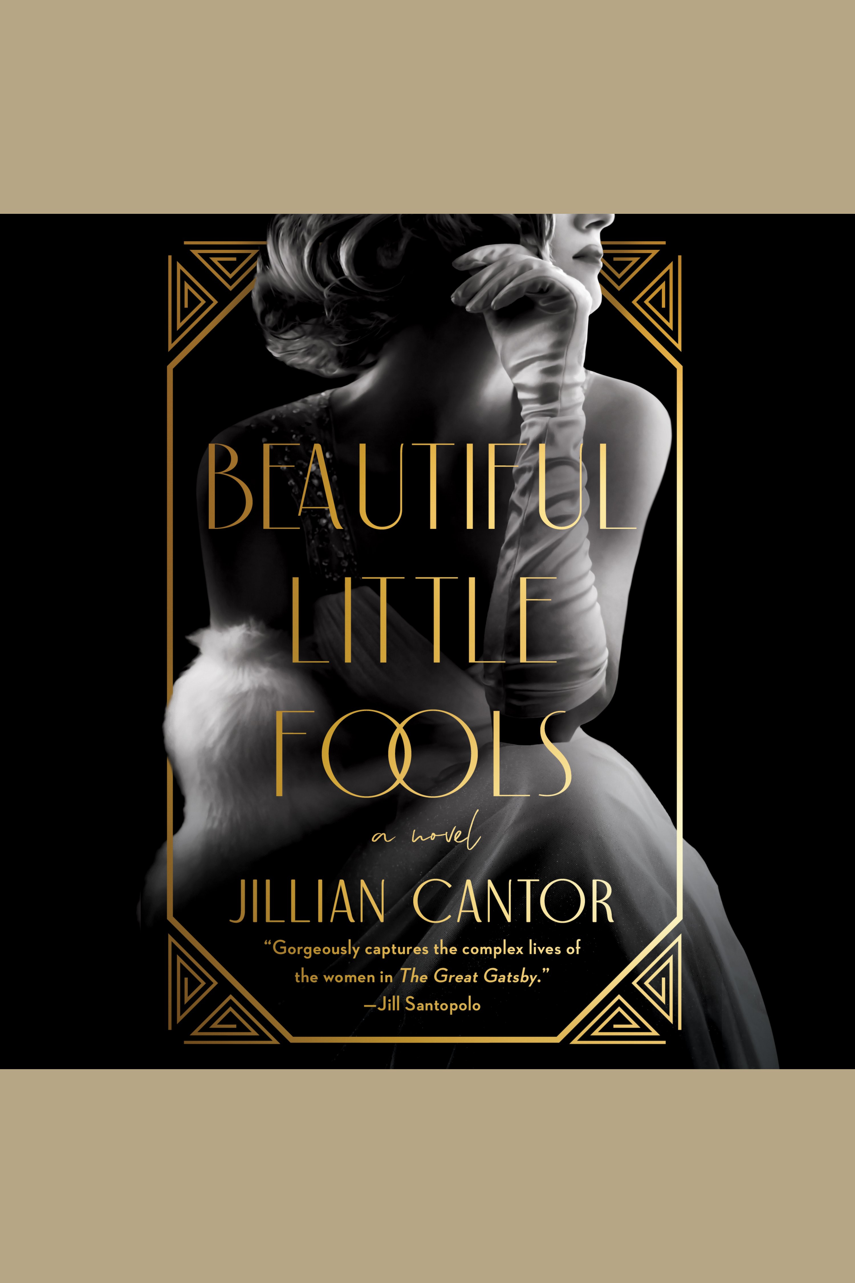Beautiful Little Fools cover image