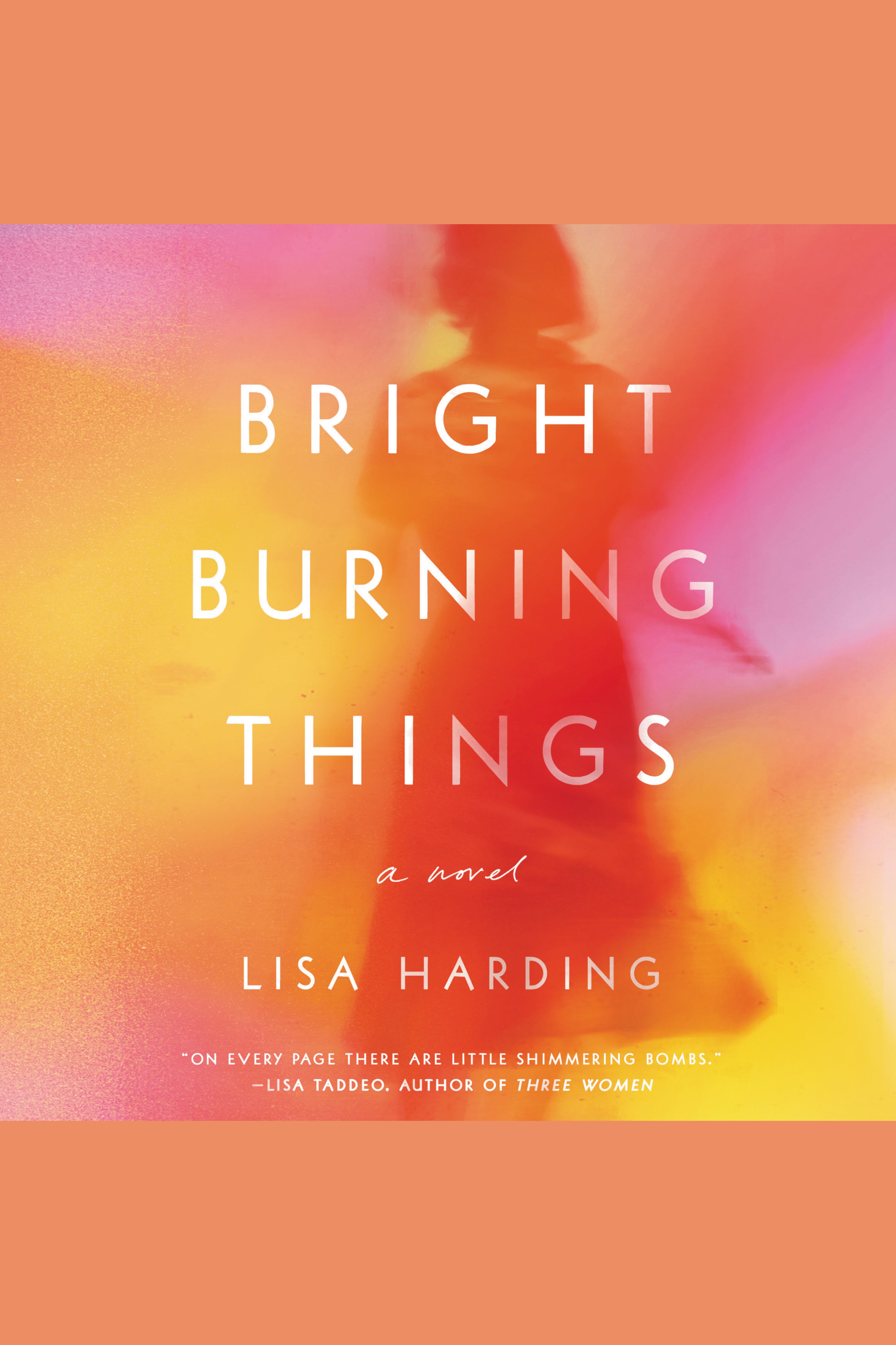 Bright Burning Things cover image