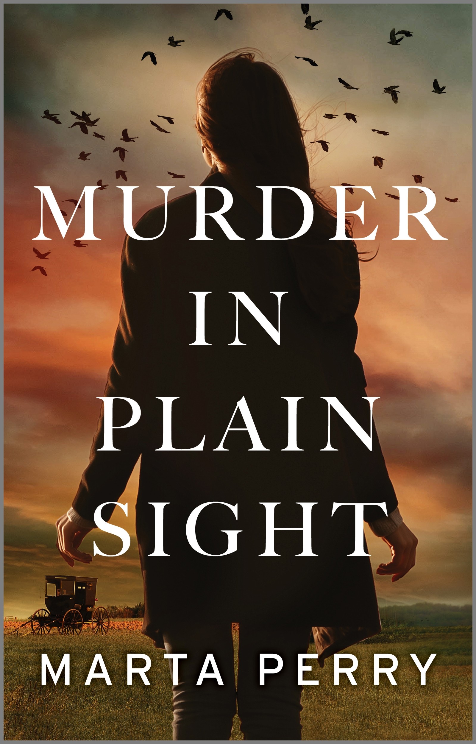 Cover Image of Murder in Plain Sight