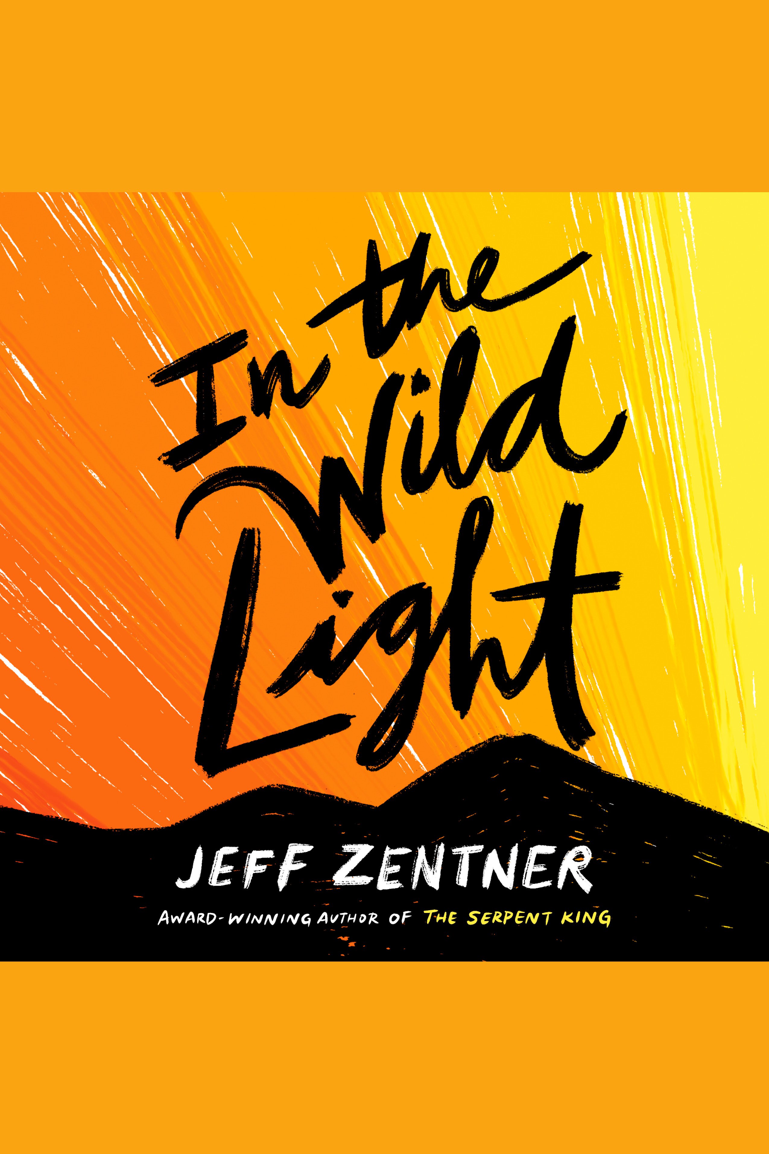 In the Wild Light cover image