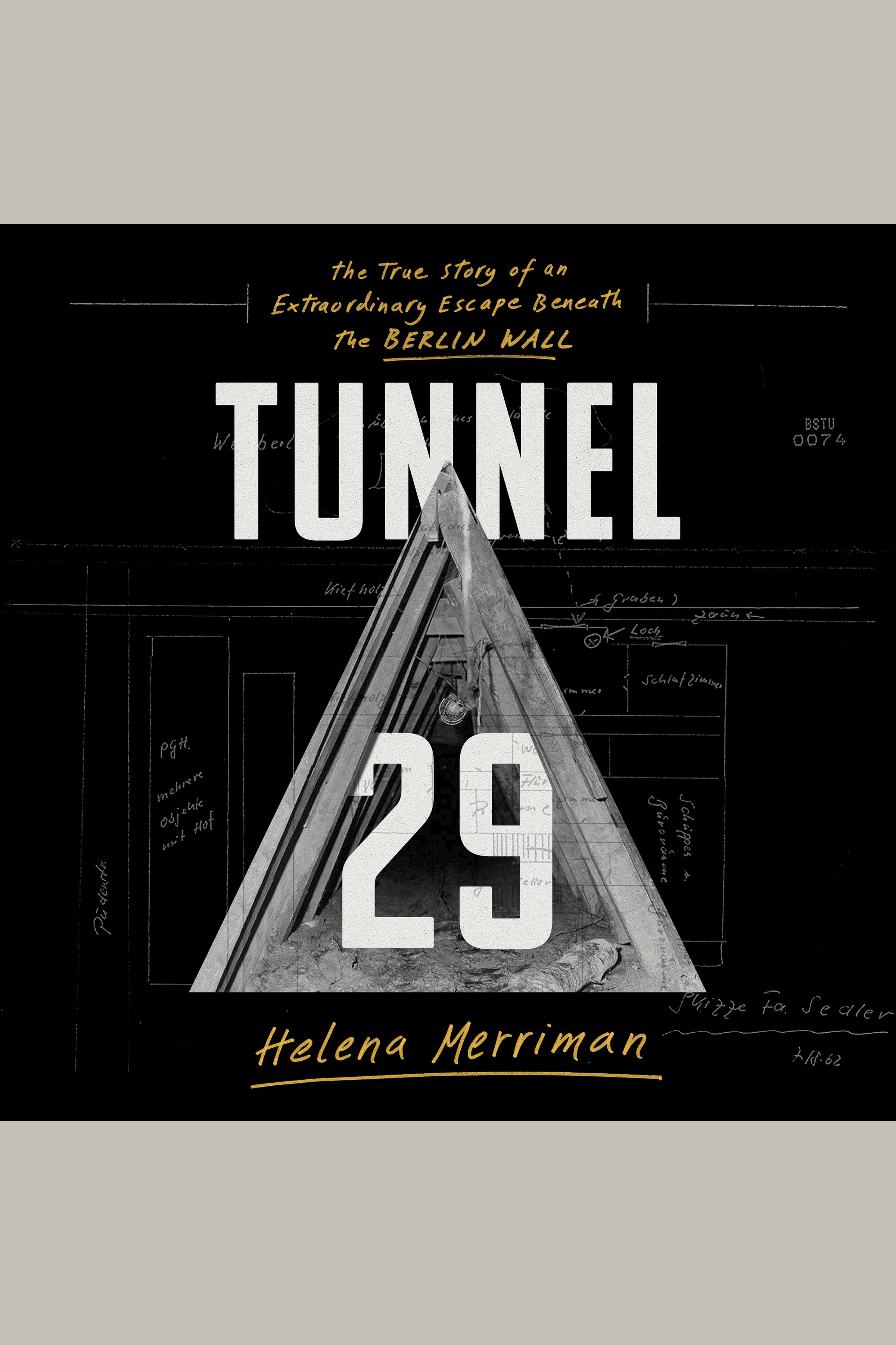 Cover Image of Tunnel 29