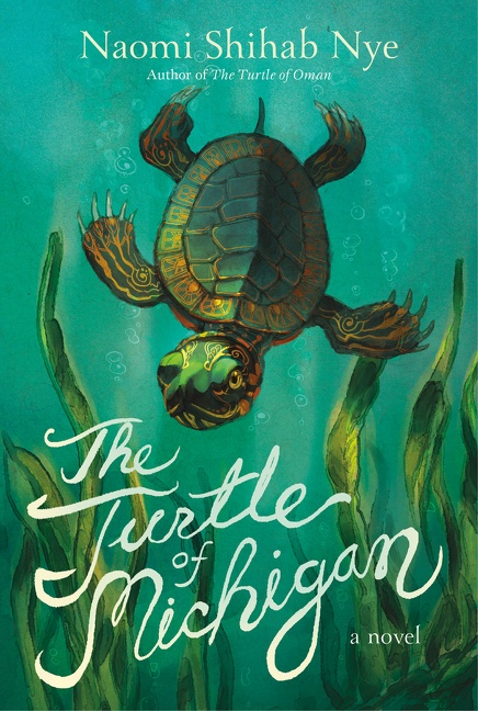 The Turtle of Michigan cover image