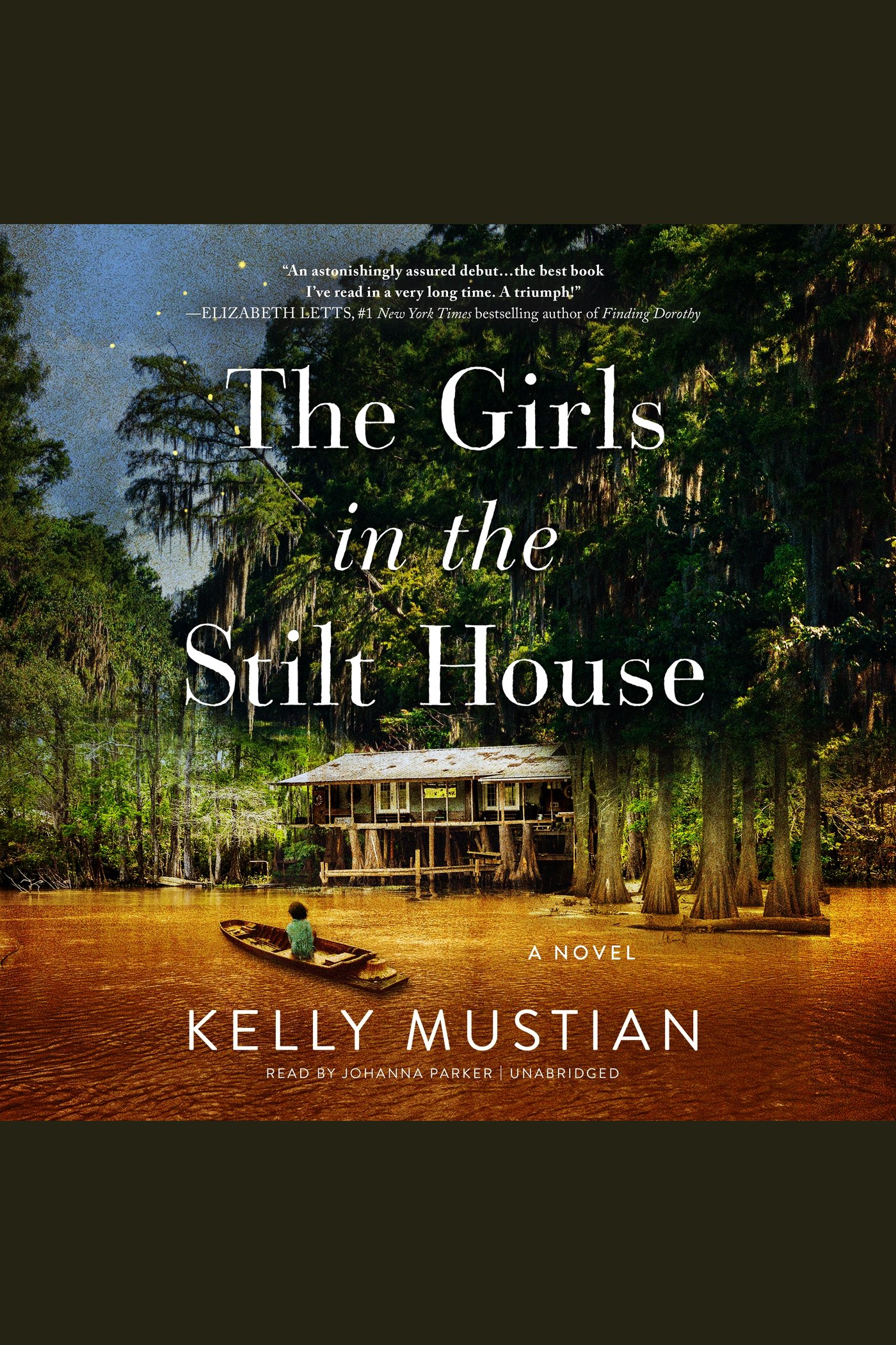 The Girls in the Stilt House cover image