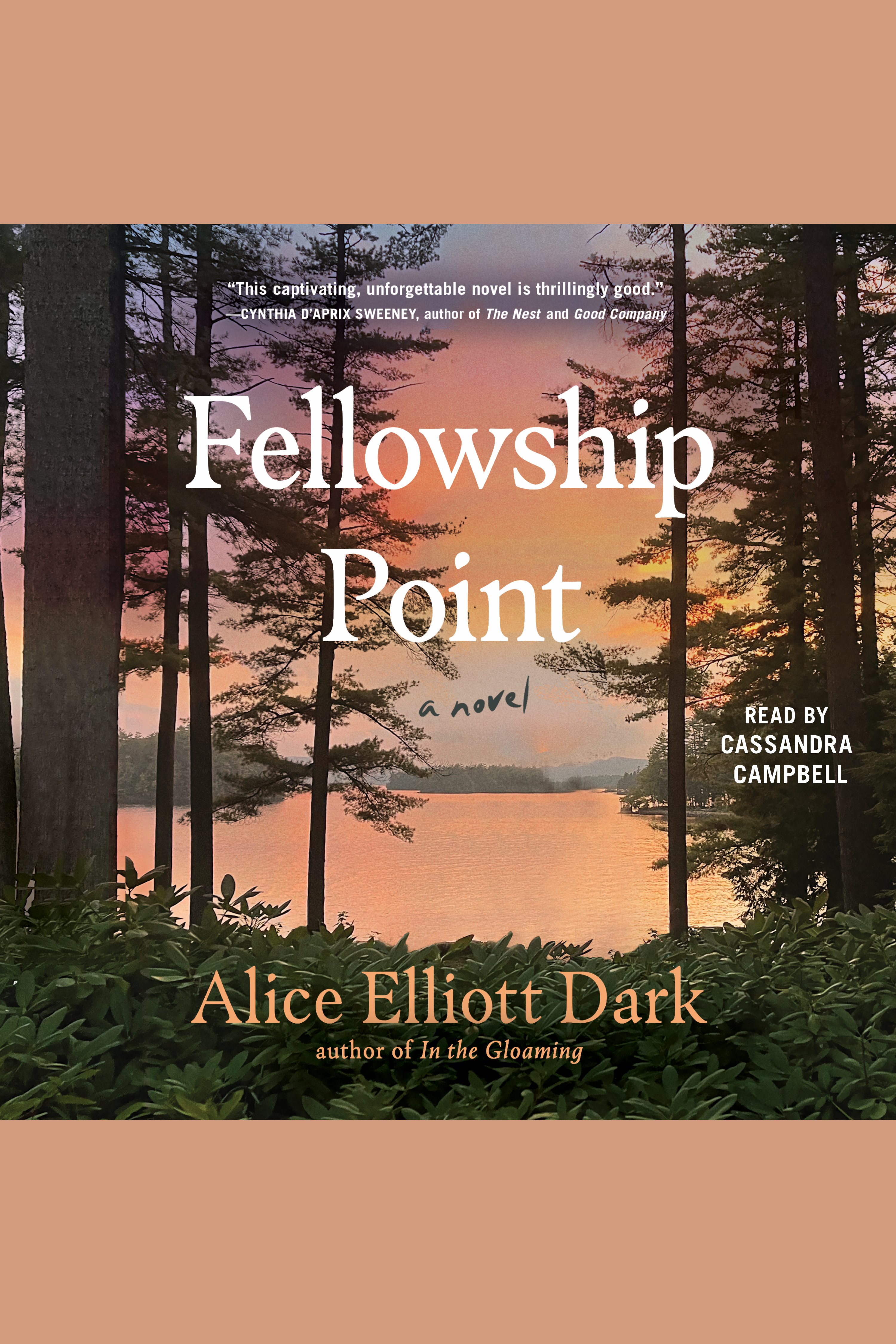 Fellowship Point cover image