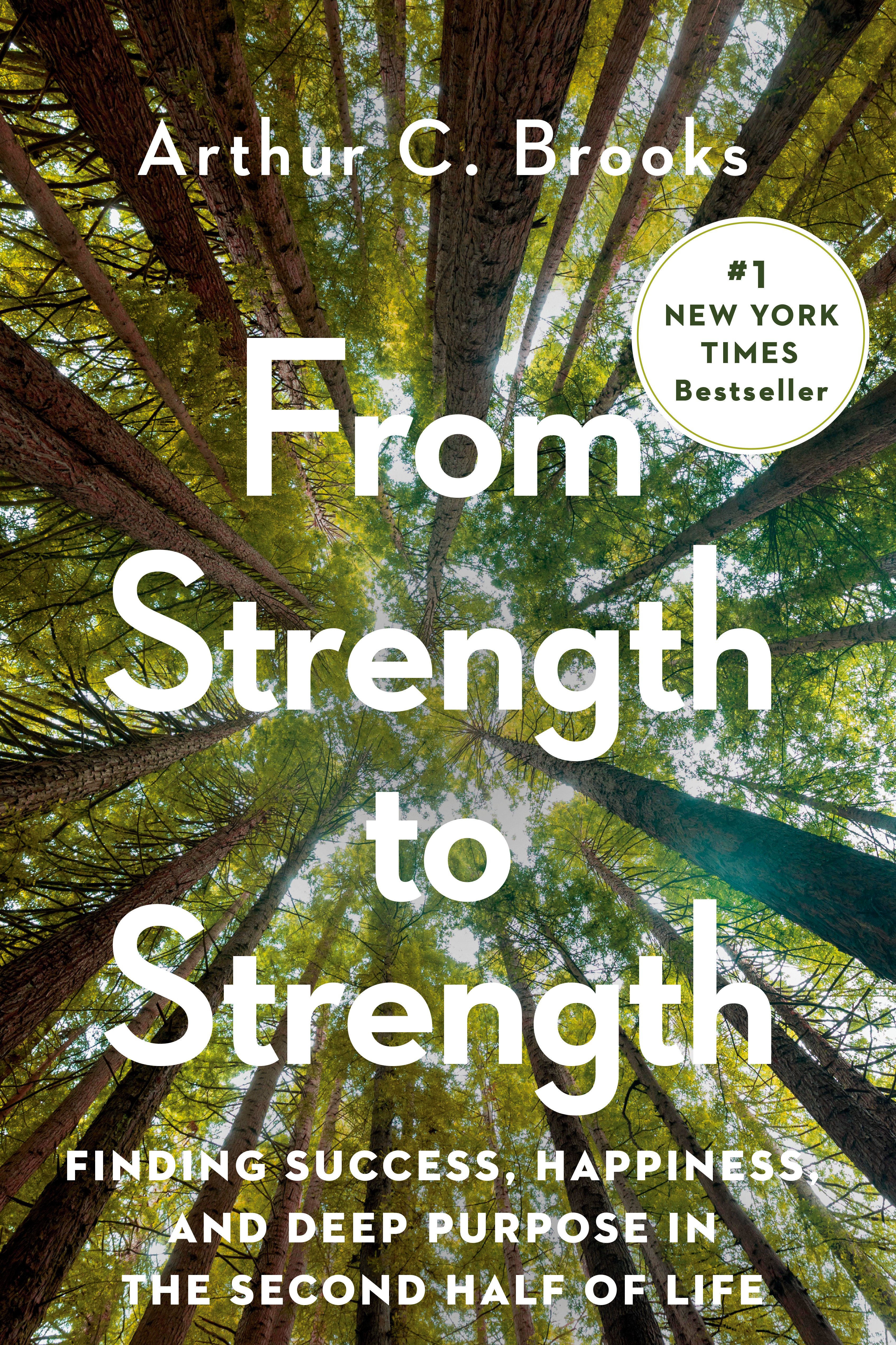 From Strength to Strength Finding Success, Happiness, and Deep Purpose in the Second Half of Life cover image