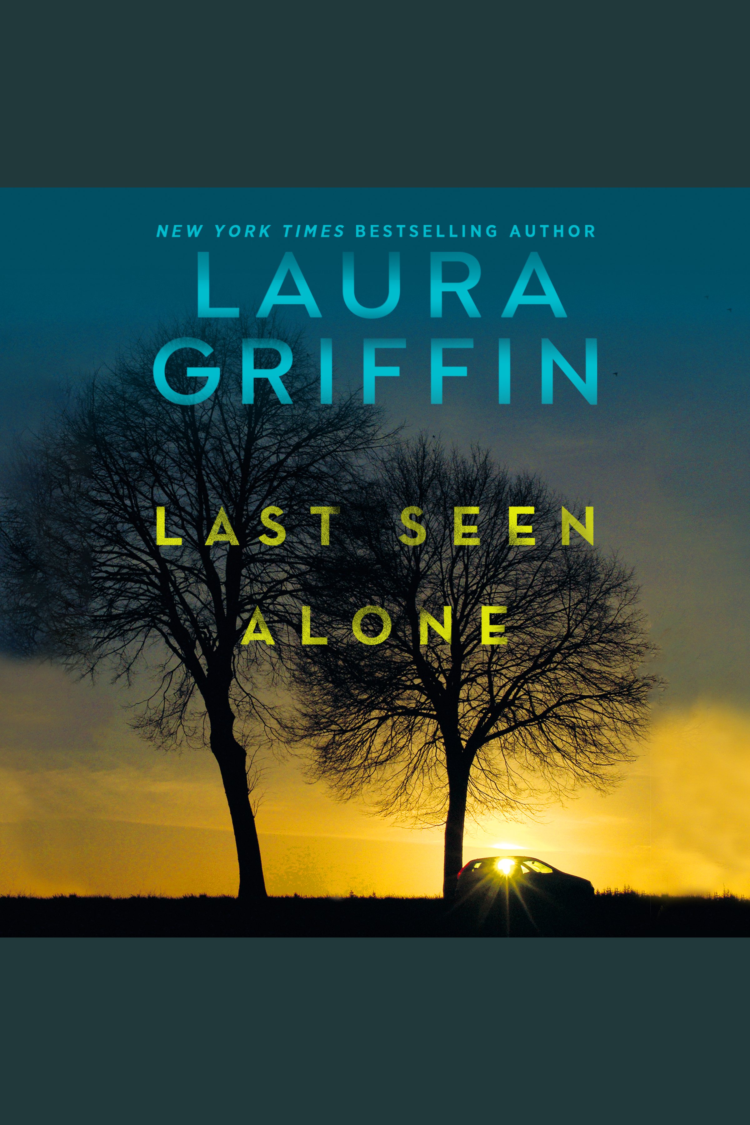 Cover image for Last Seen Alone [electronic resource] :
