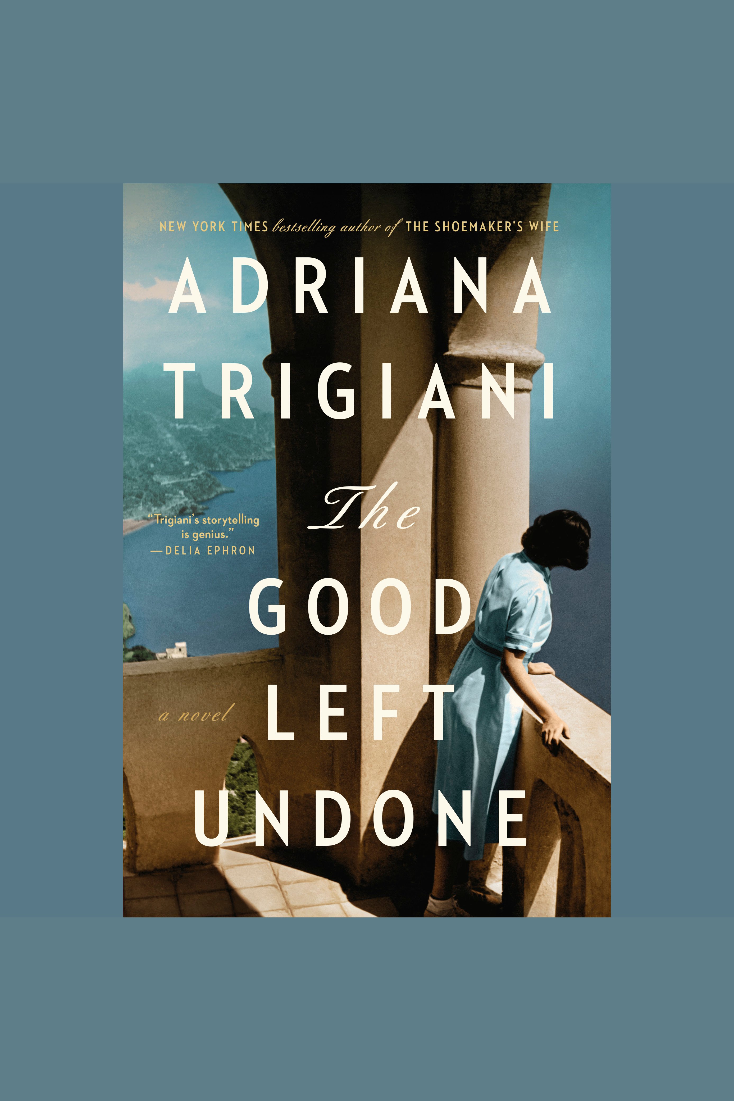 The good left undone : a novel