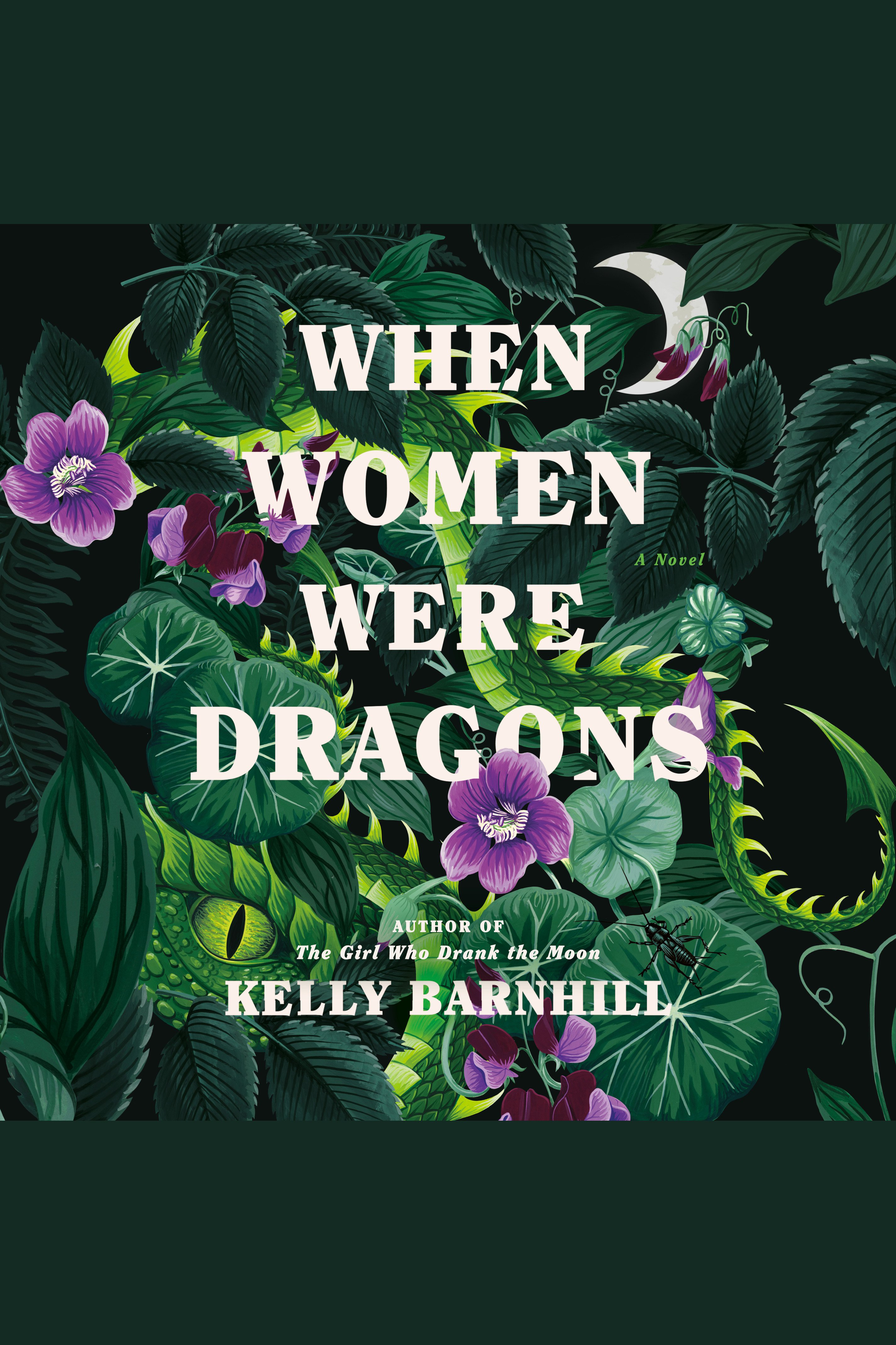 When Women Were Dragons cover image