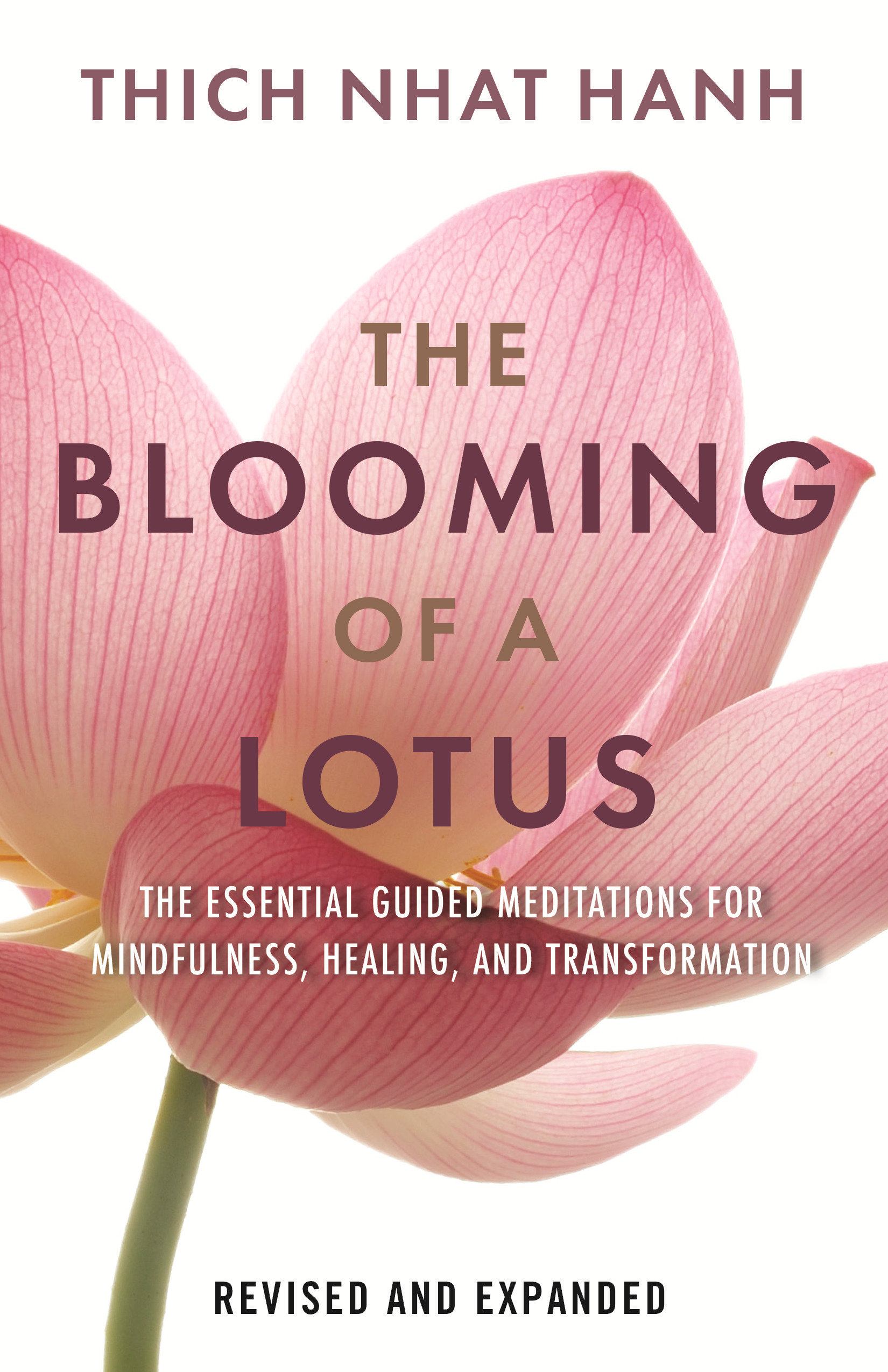 The Blooming of a Lotus REVISED & EXPANDED Essential Guided Meditations for Mindfulness, Healing, and Transformation cover image