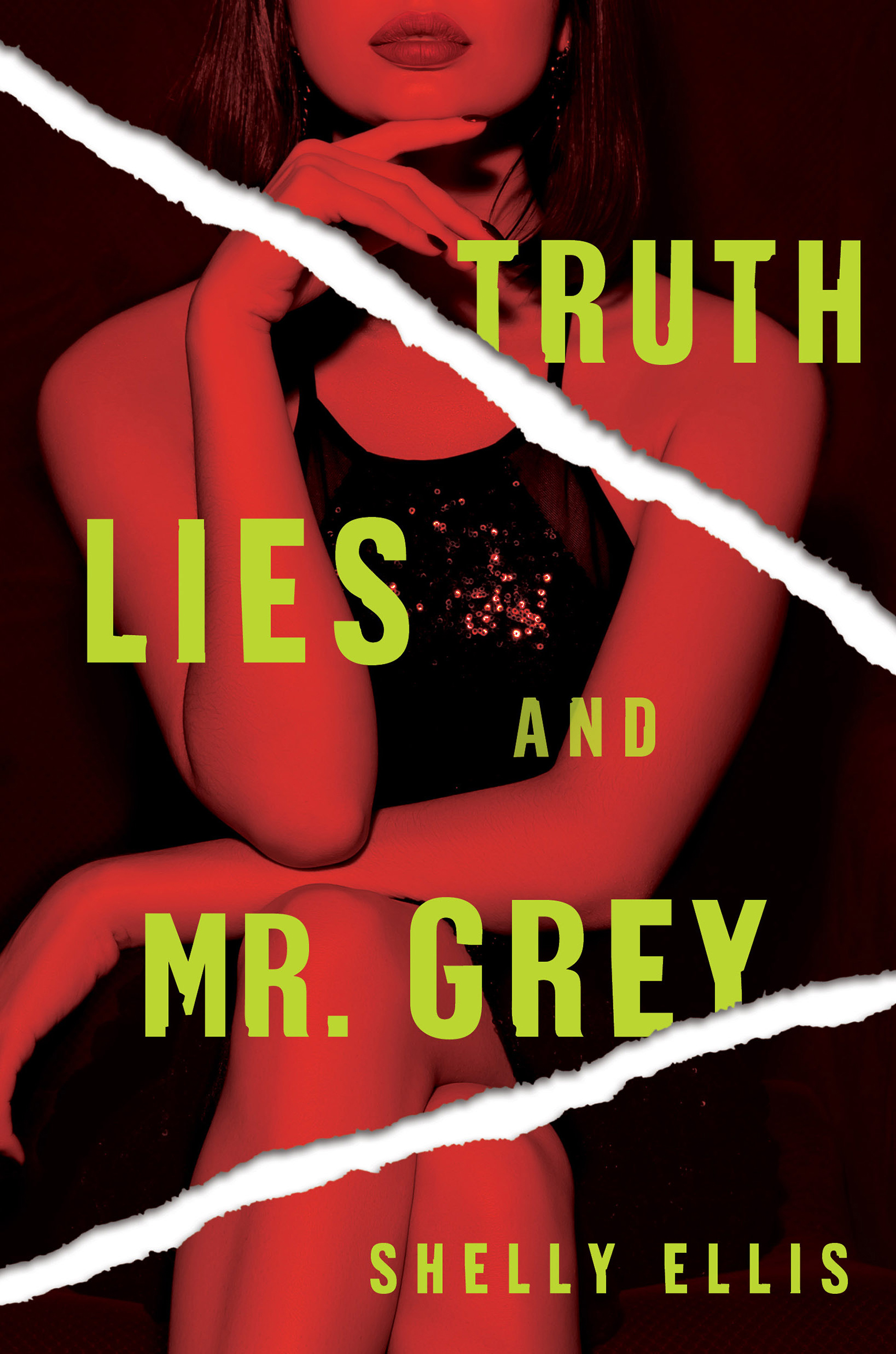 Cover image for Truth, Lies, and Mr. Grey [electronic resource] :