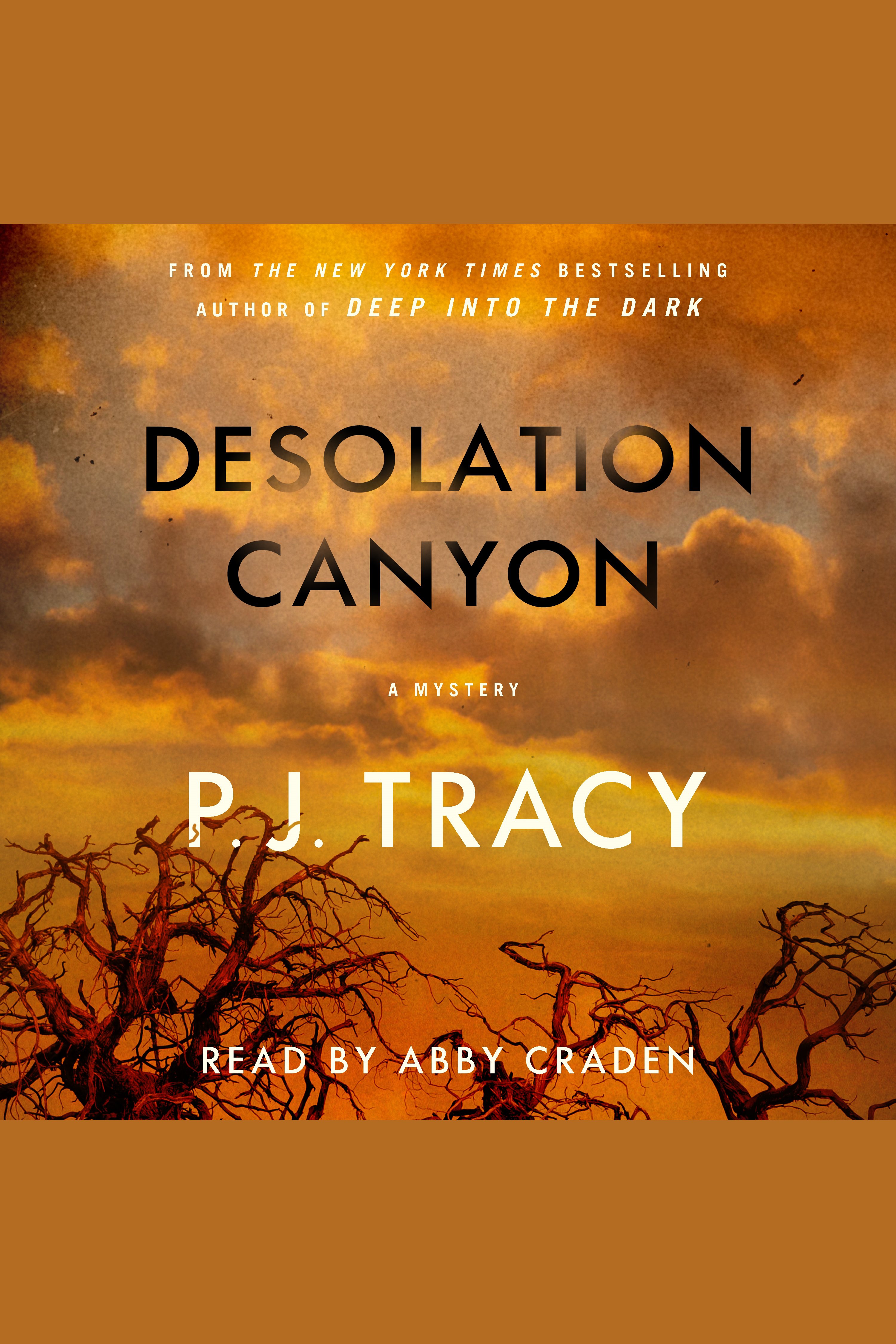 Desolation Canyon A Mystery