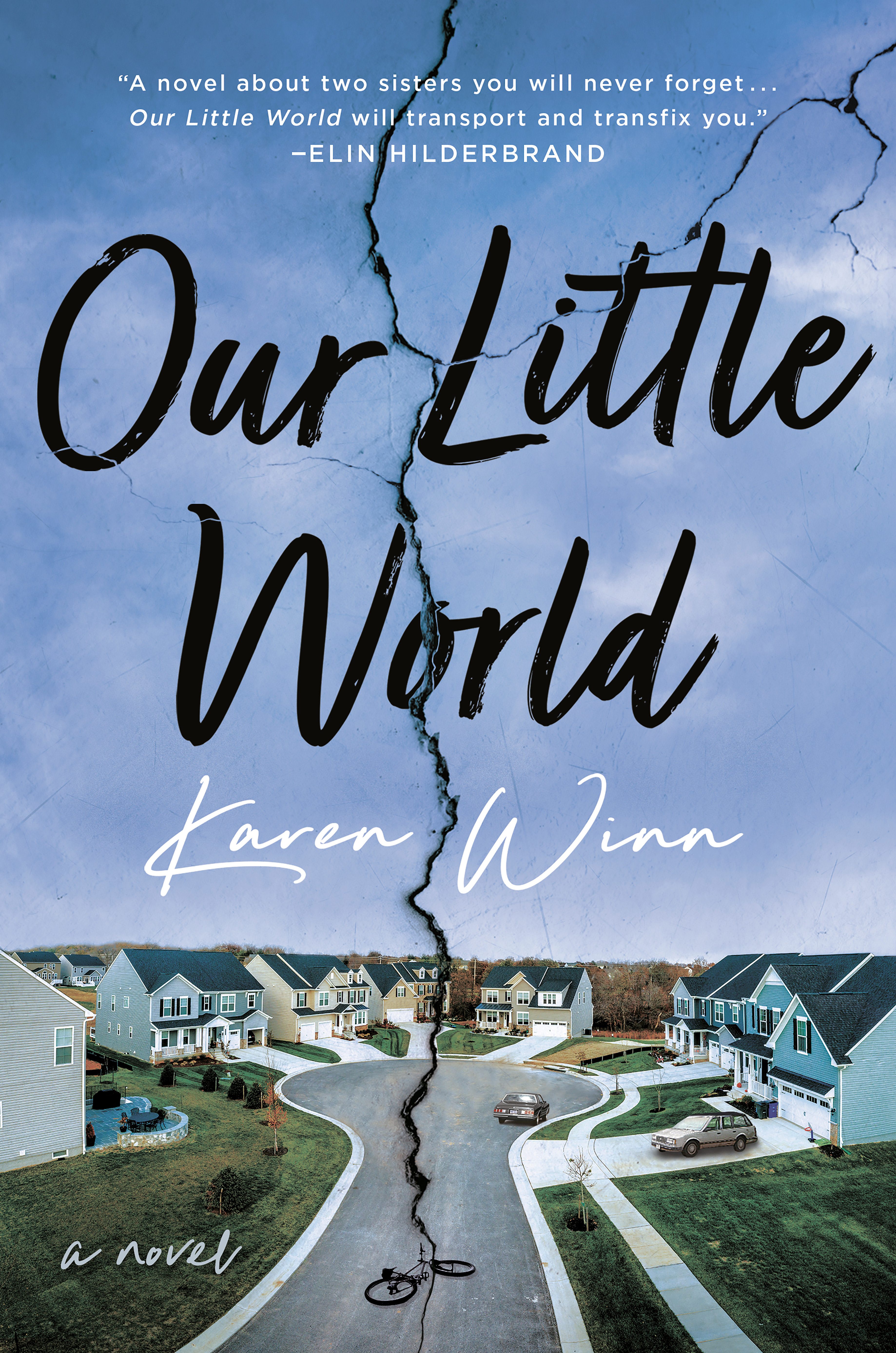 Our little world : a novel