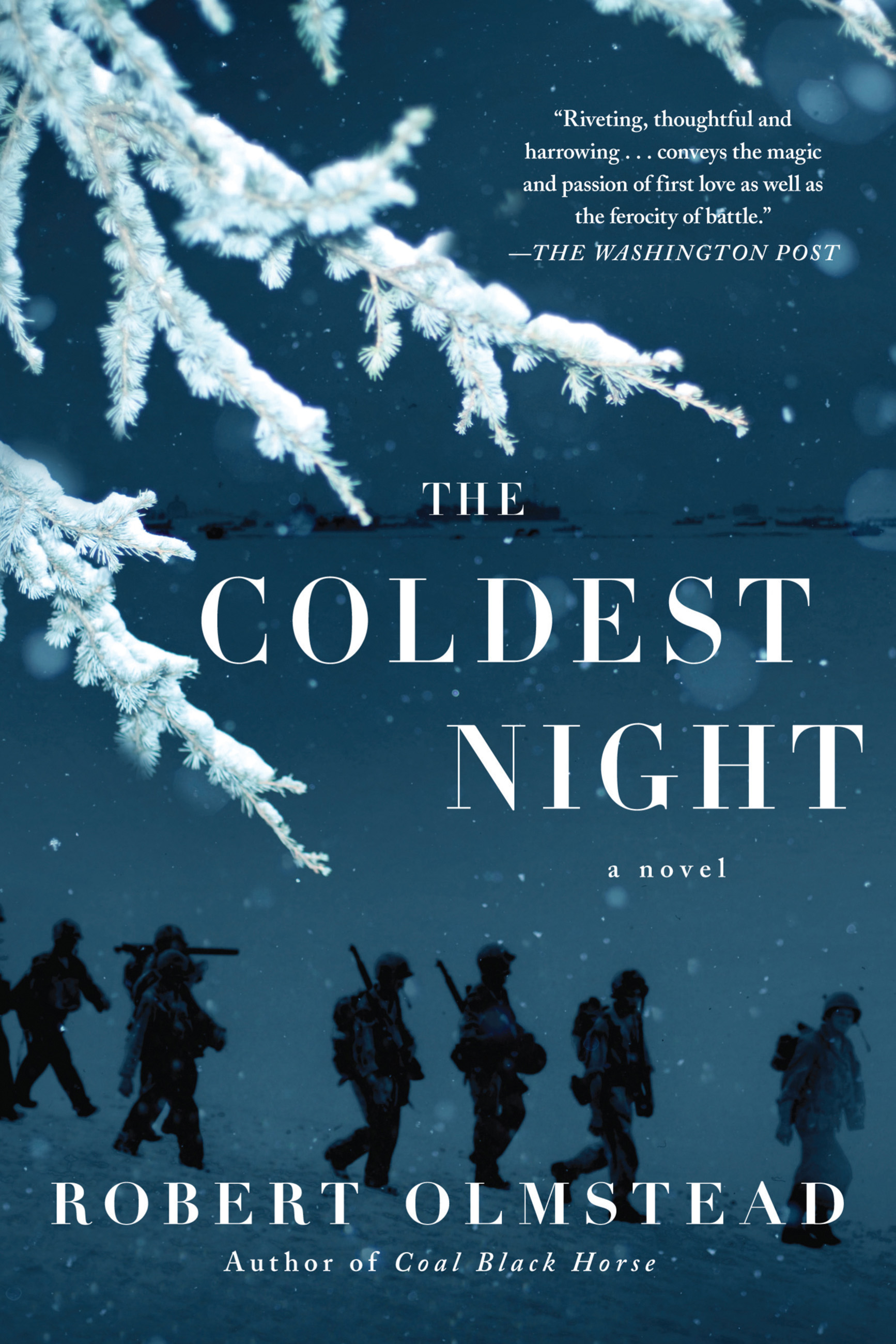 The coldest night cover image