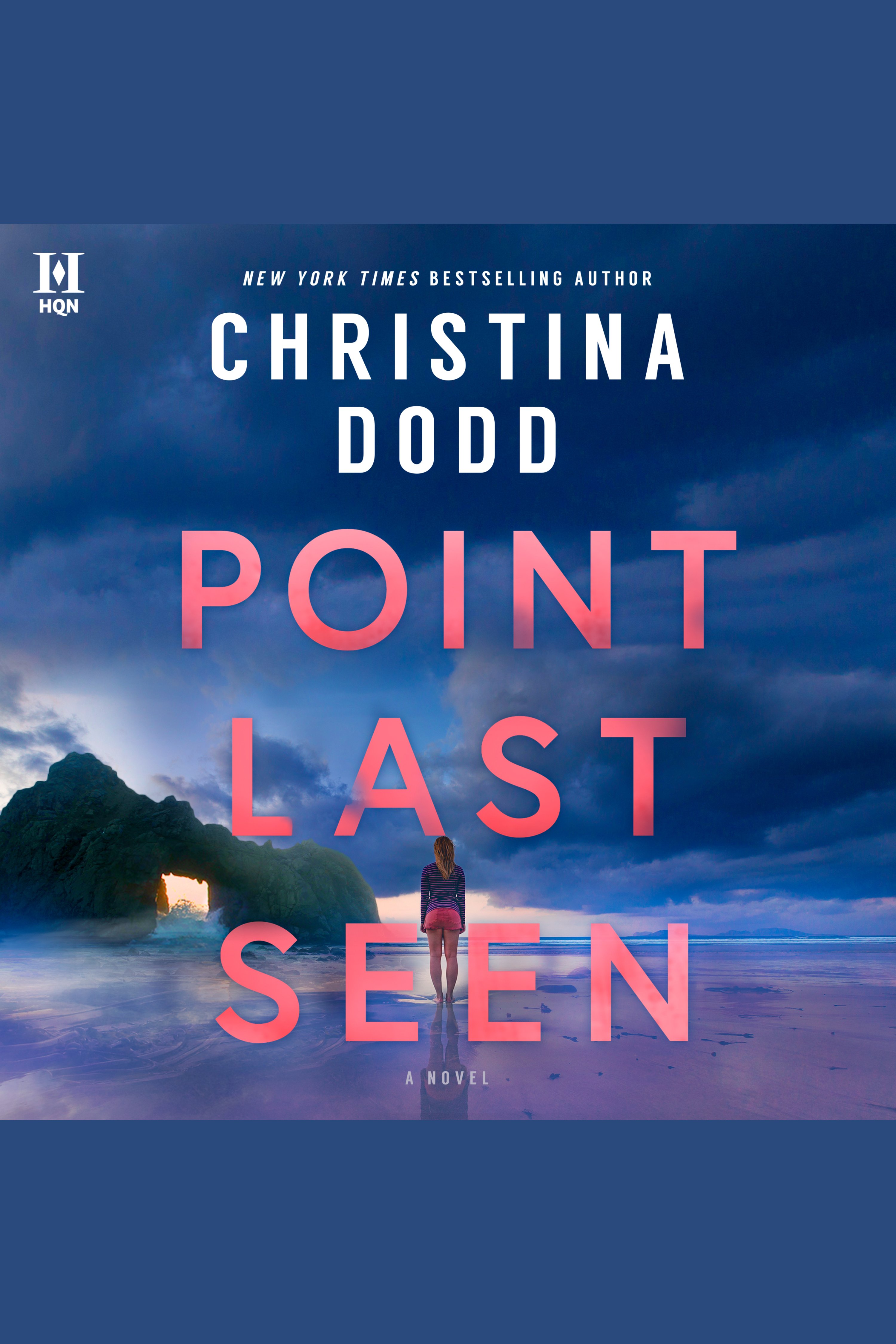 Cover image for Point Last Seen [electronic resource] :
