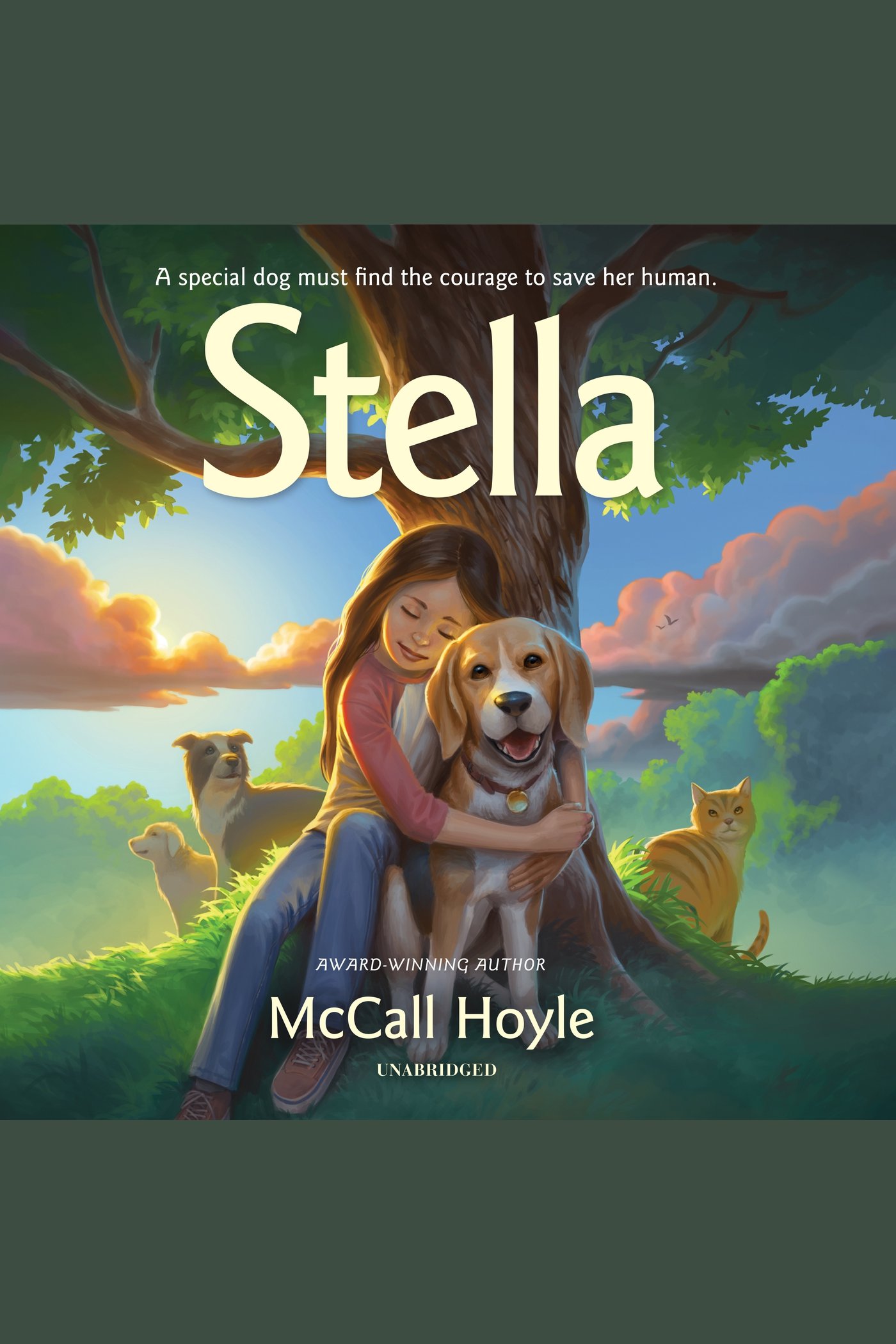 Image de couverture de Stella [electronic resource] :