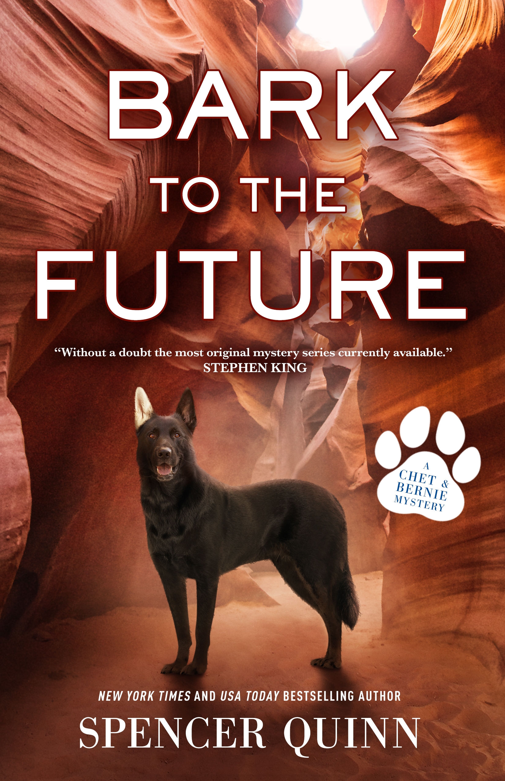 Bark to the Future A Chet & Bernie Mystery cover image