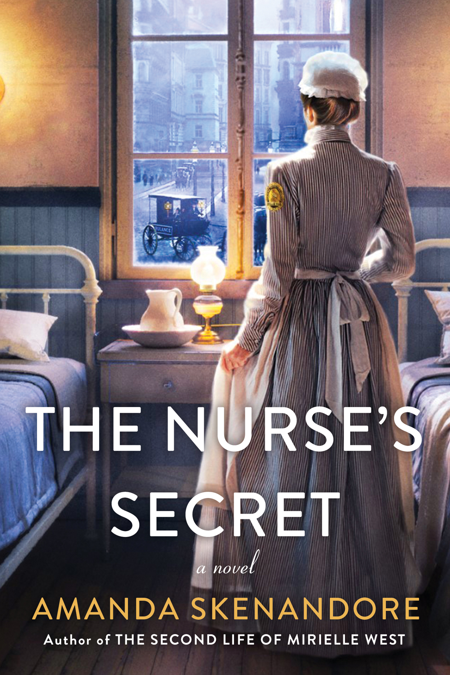 The Nurse's Secret A Thrilling Historical Novel of the Dark Side of Gilded Age New York City cover image