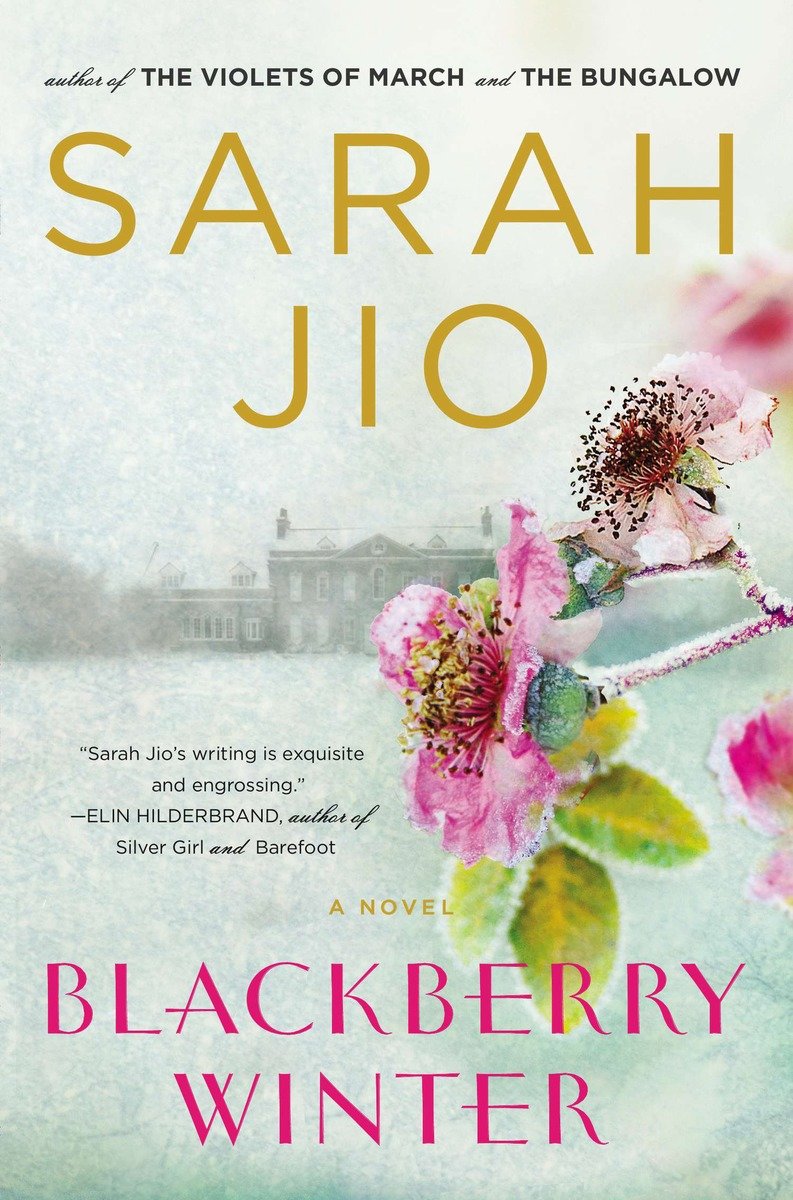 Cover image for Blackberry Winter [electronic resource] : A Novel