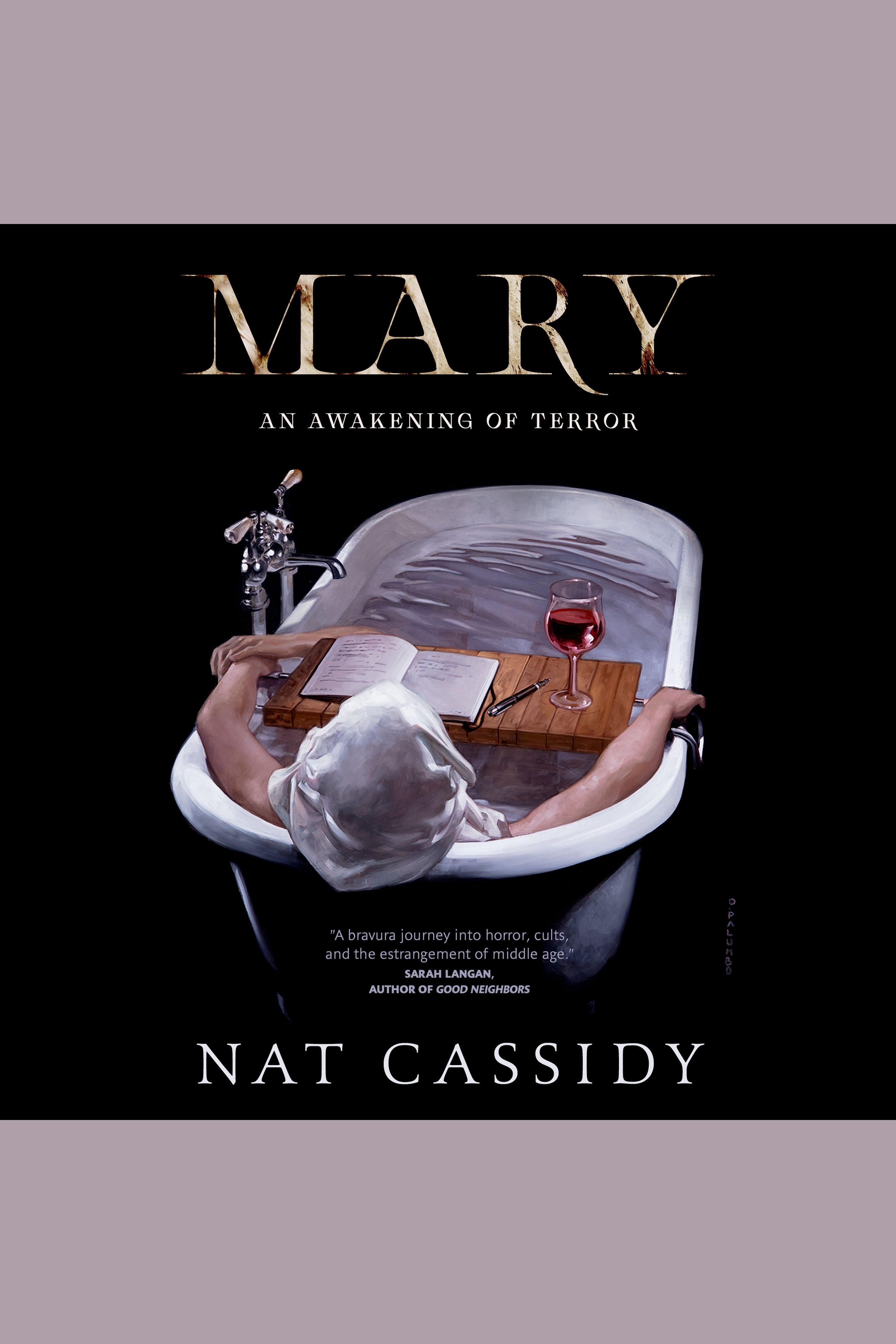 Mary An Awakening of Terror cover image