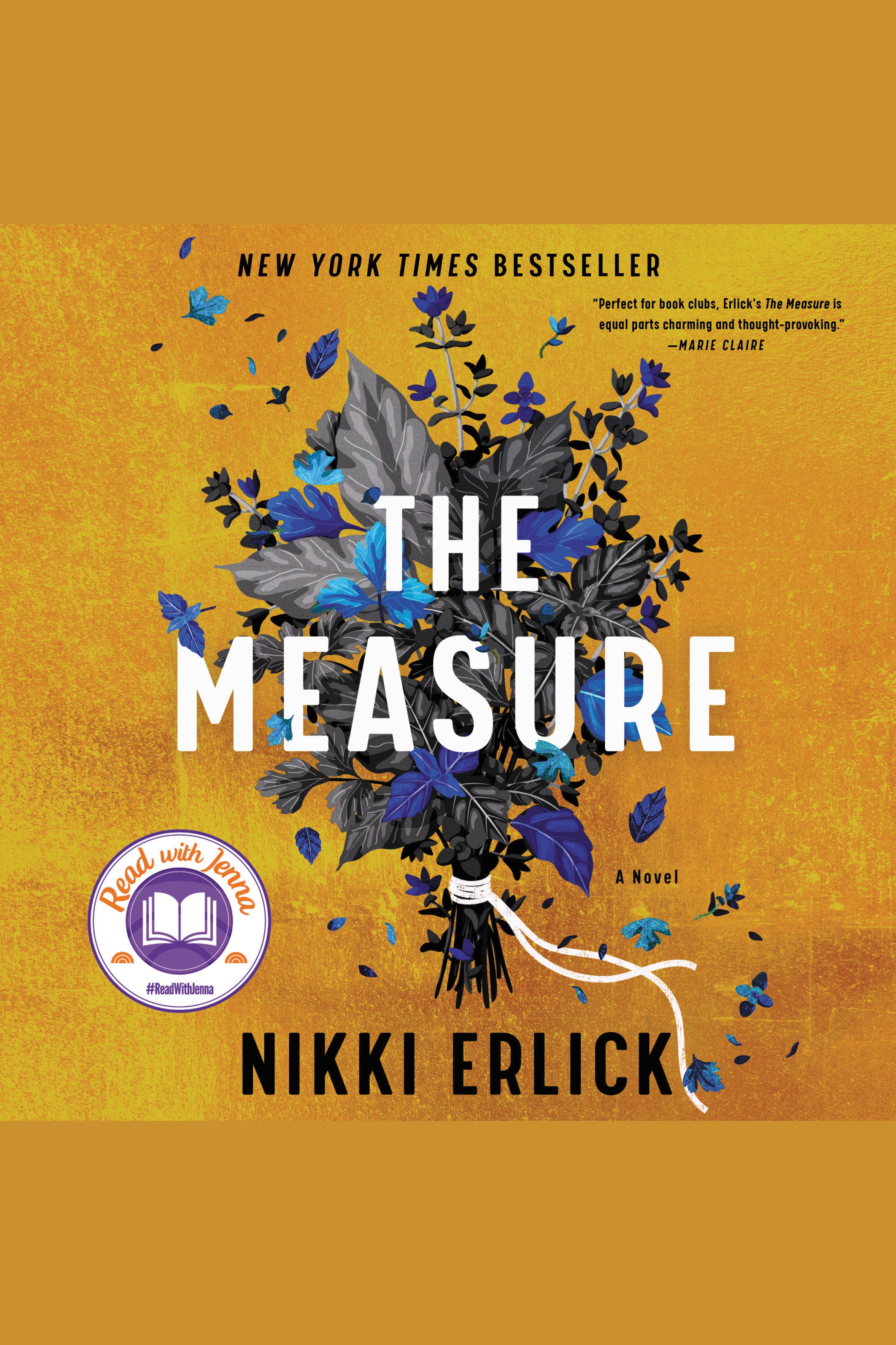 The Measure cover image