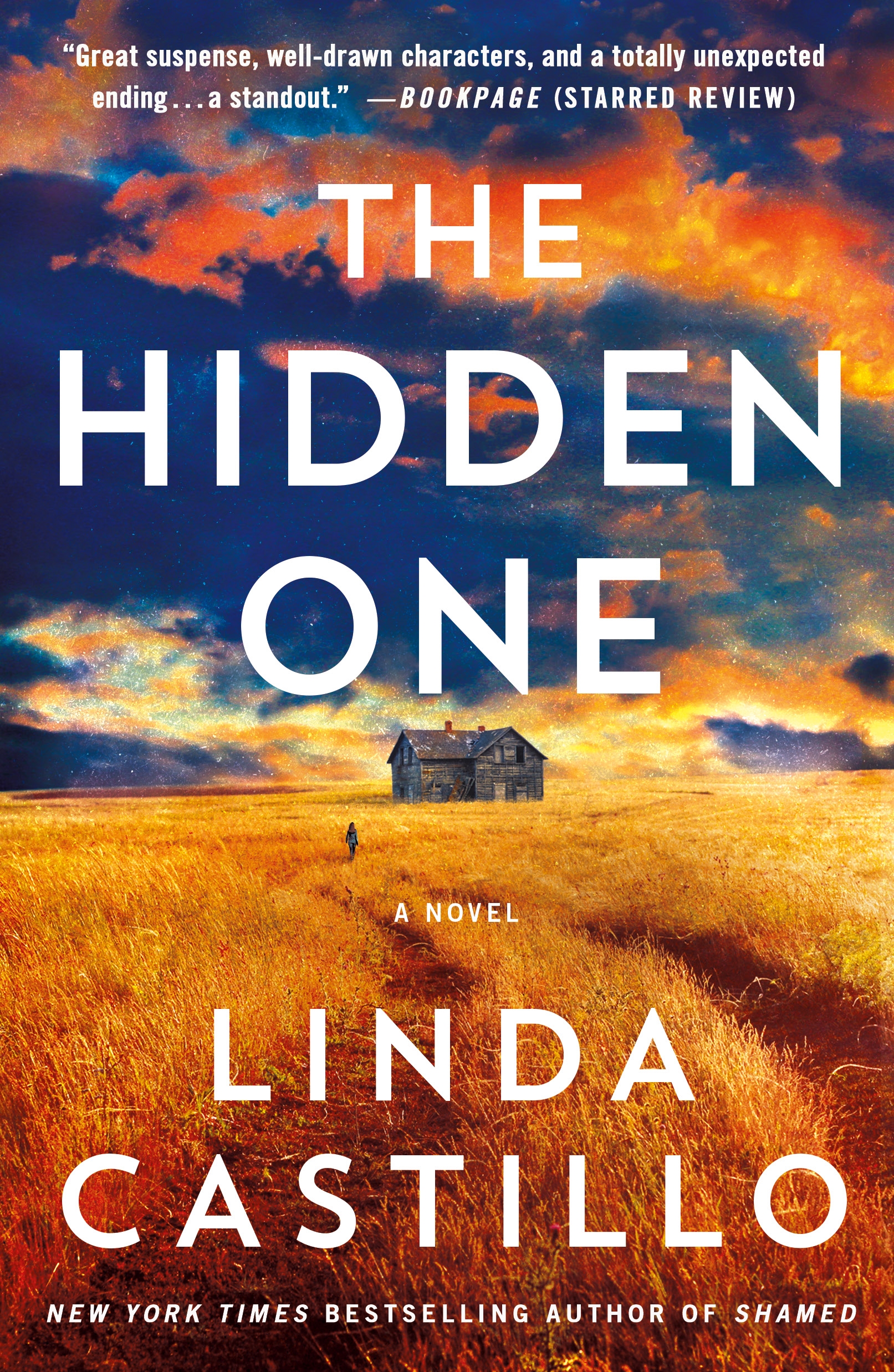 Cover image for The Hidden One [electronic resource] : A Novel of Suspense
