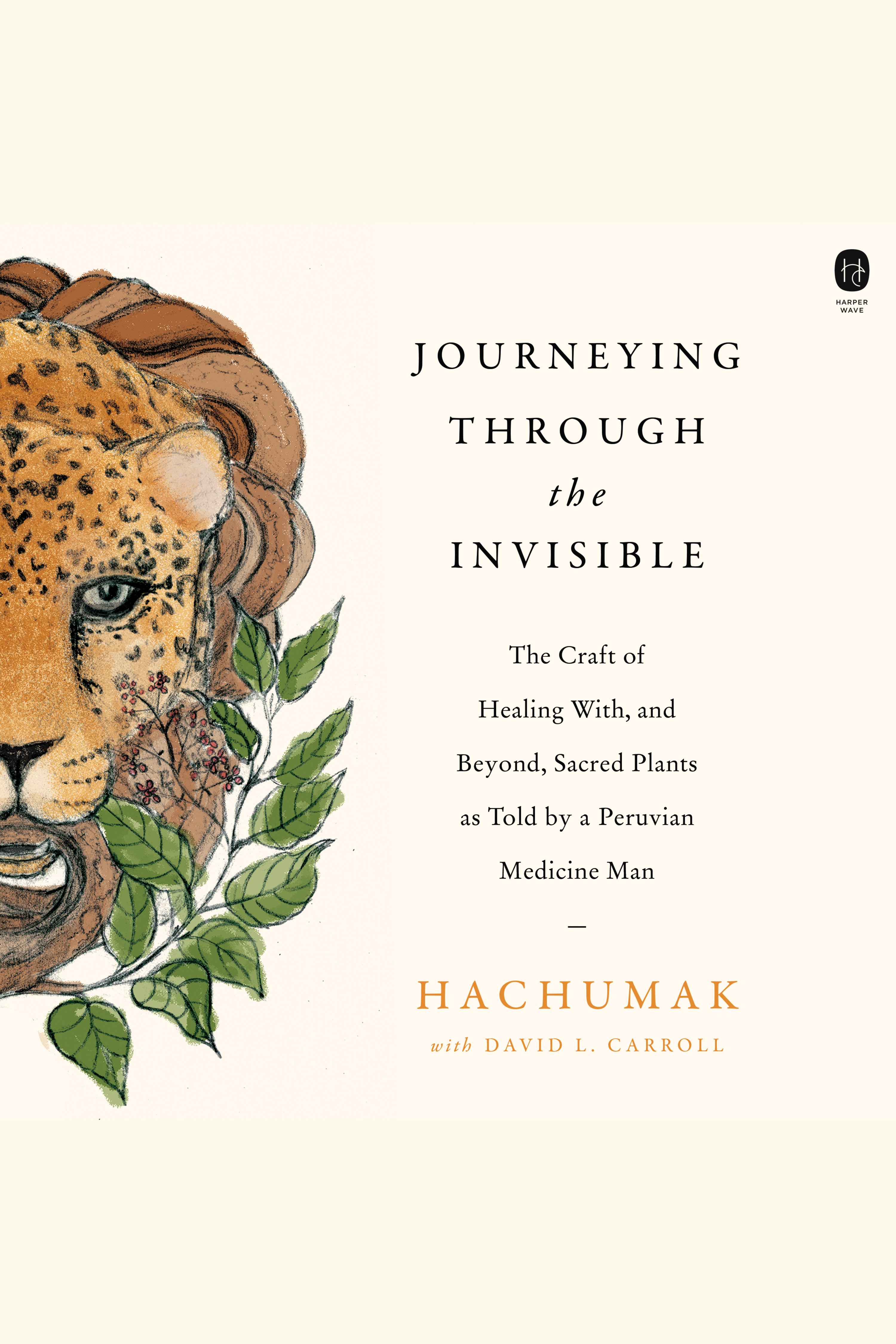 Journeying Through the Invisible The Craft of Healing with, and Beyond, Sacred Plants, as Told by a Peruvian Medicine Man cover image