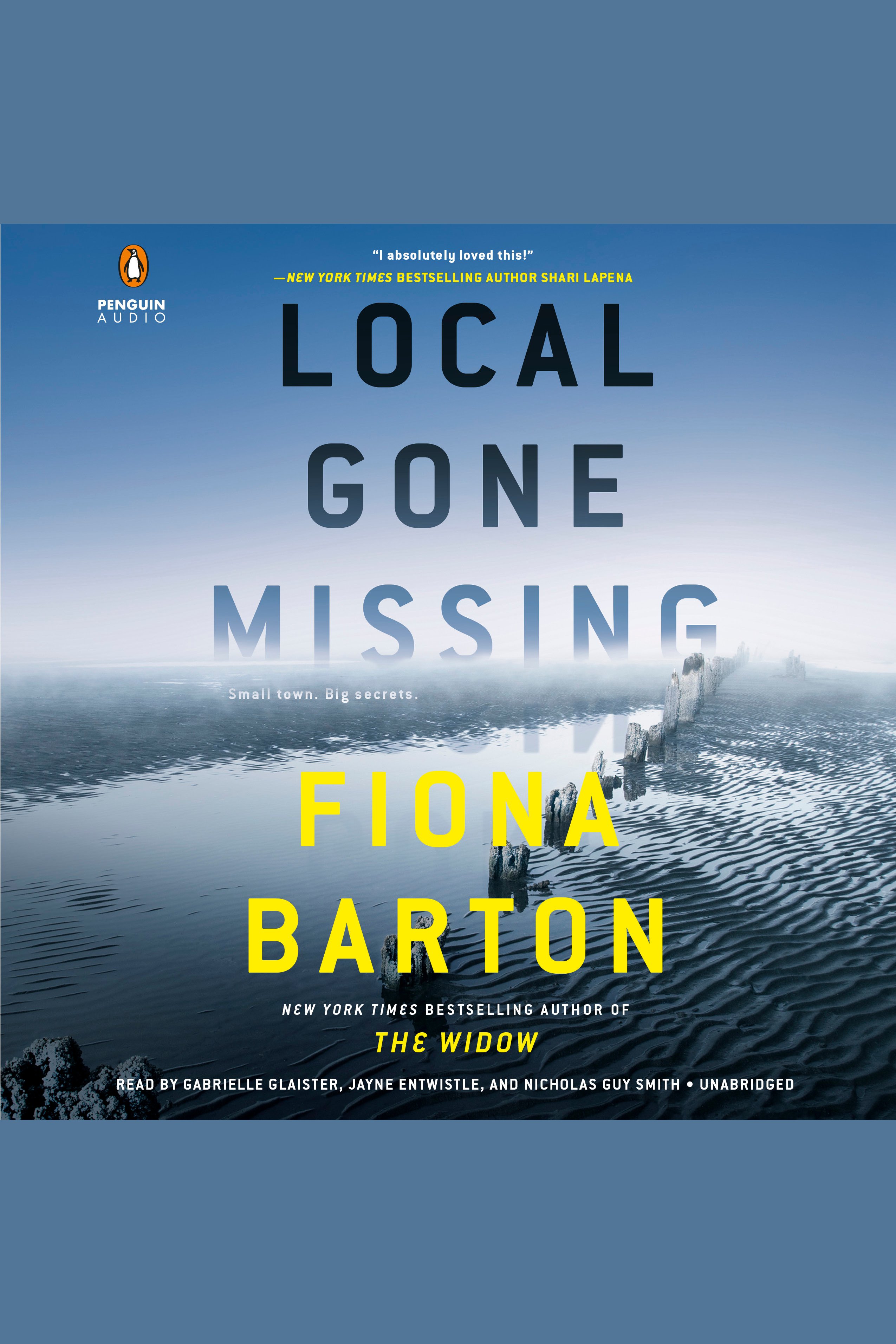 Cover Image of Local Gone Missing