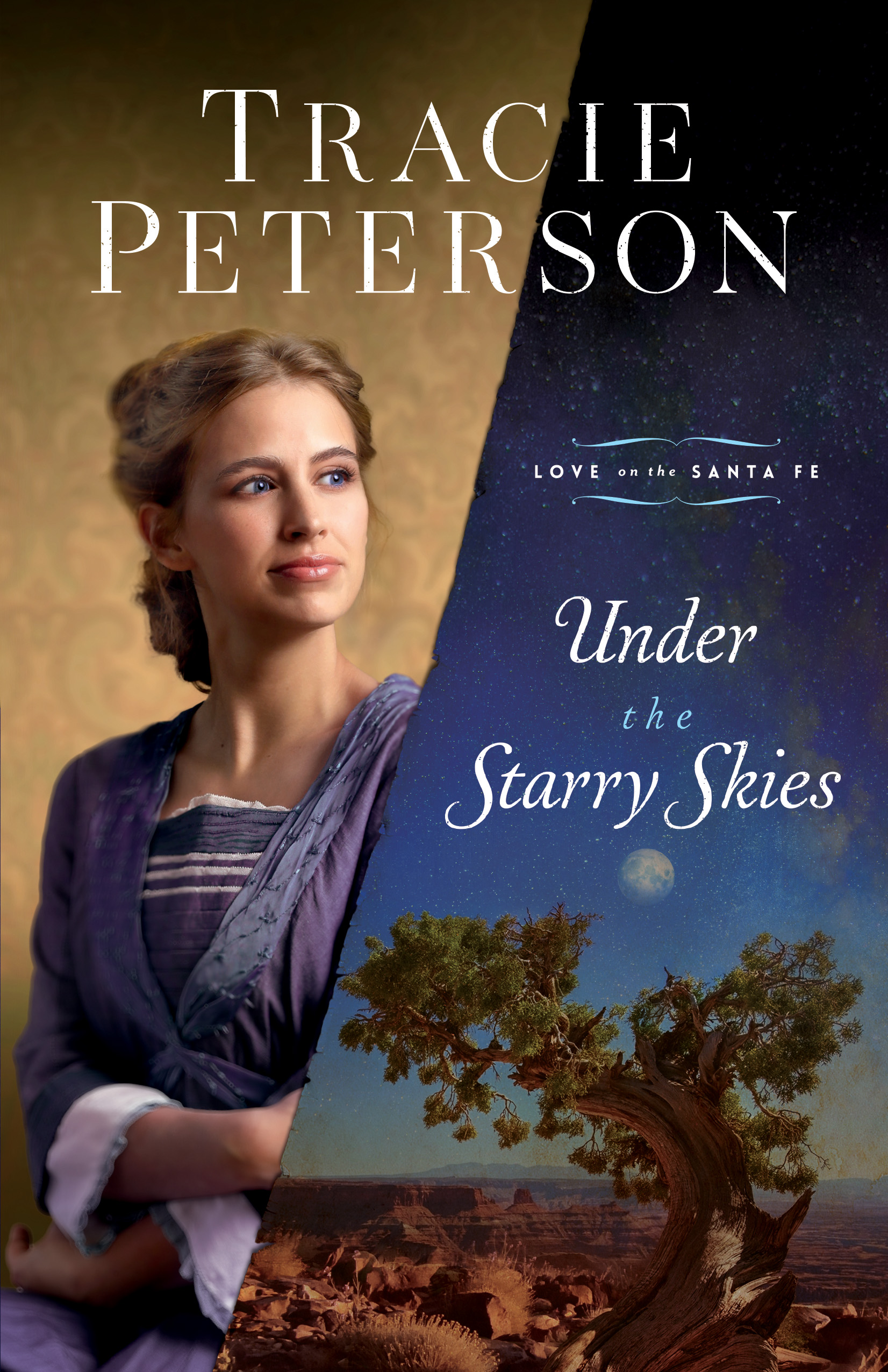 Cover image for Under the Starry Skies (Love on the Santa Fe) [electronic resource] :