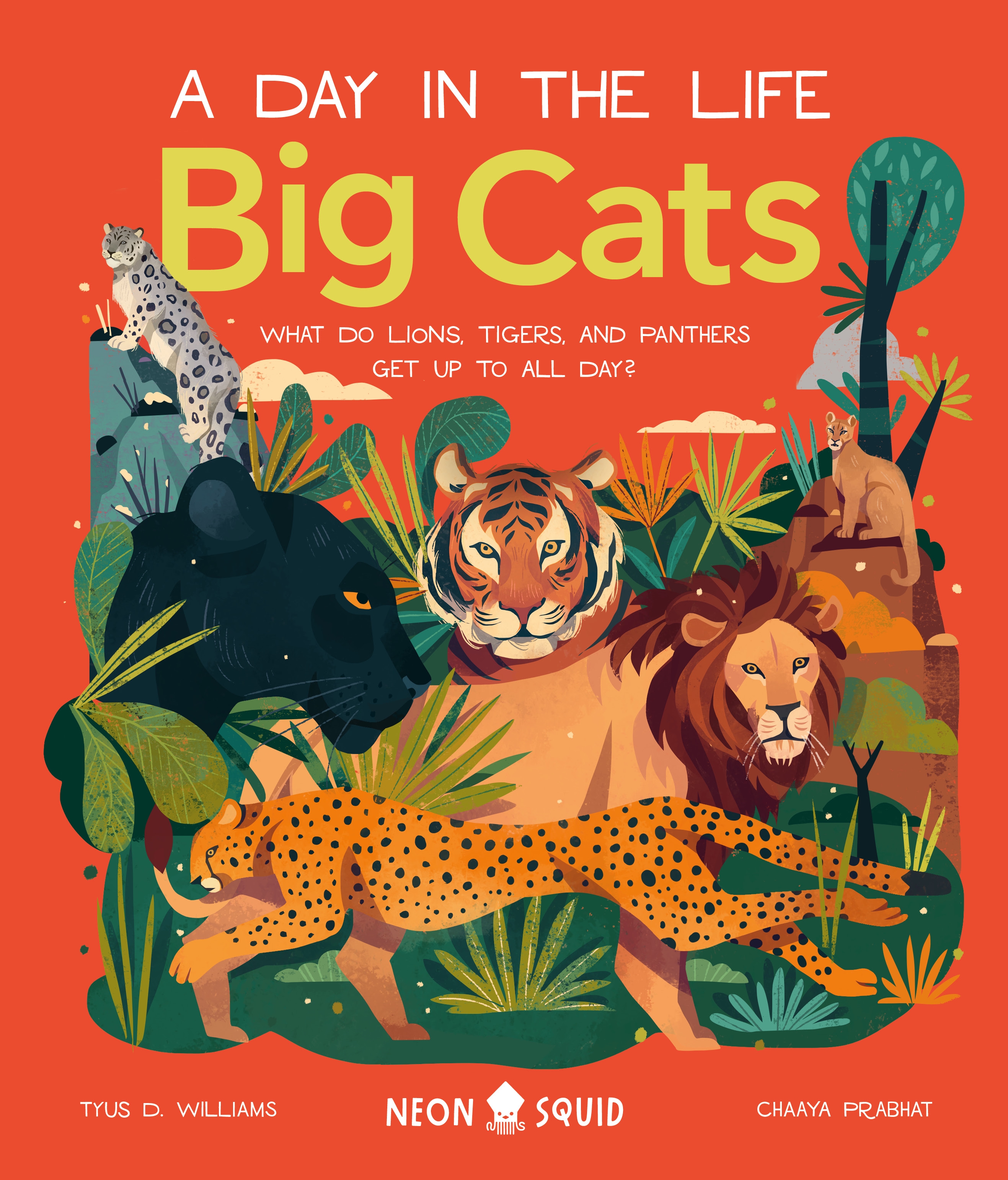 Big Cats What Do Lions, Tigers, and Panthers Get up to All Day? cover image