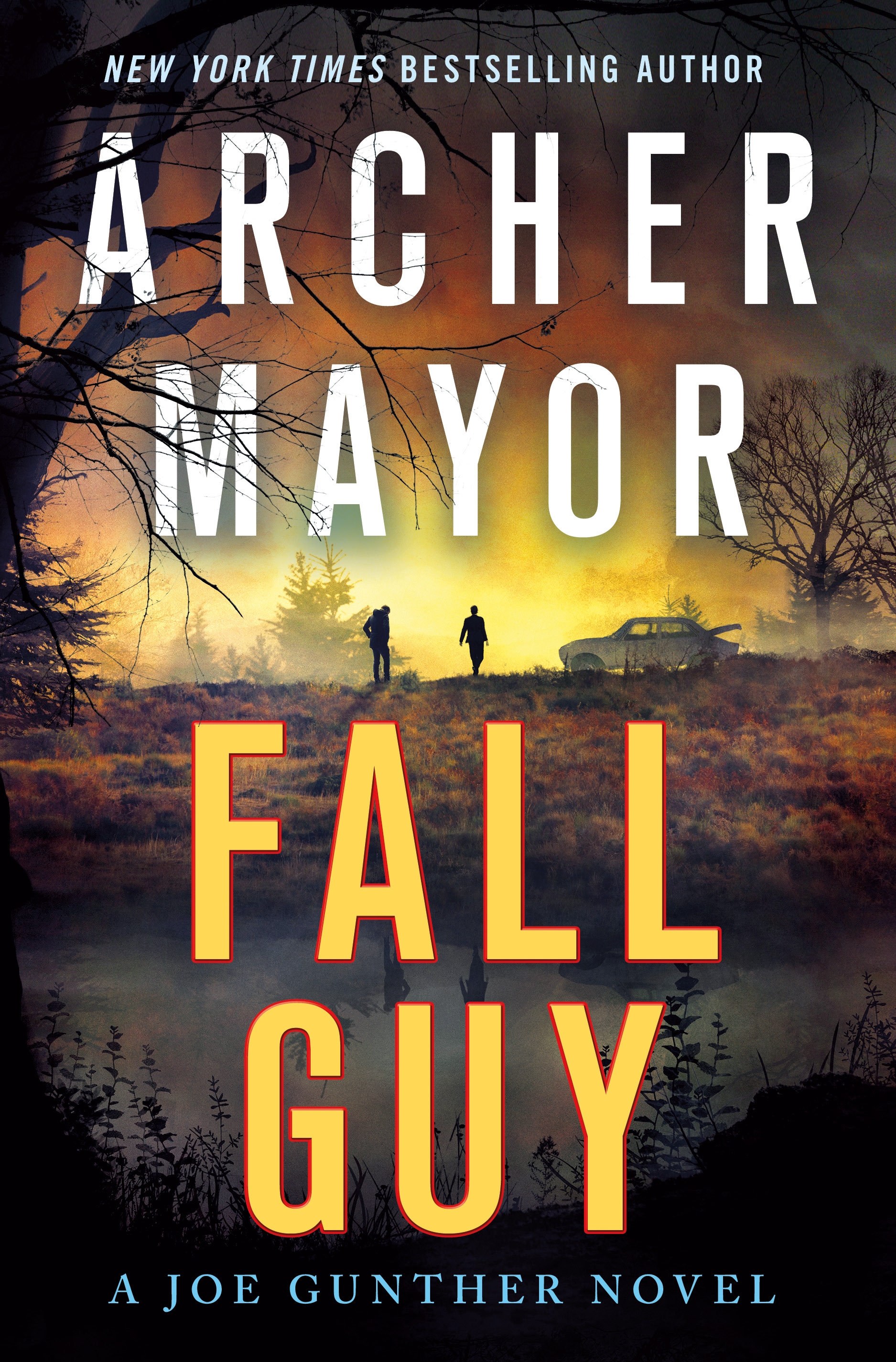 Fall Guy A Joe Gunther Novel cover image