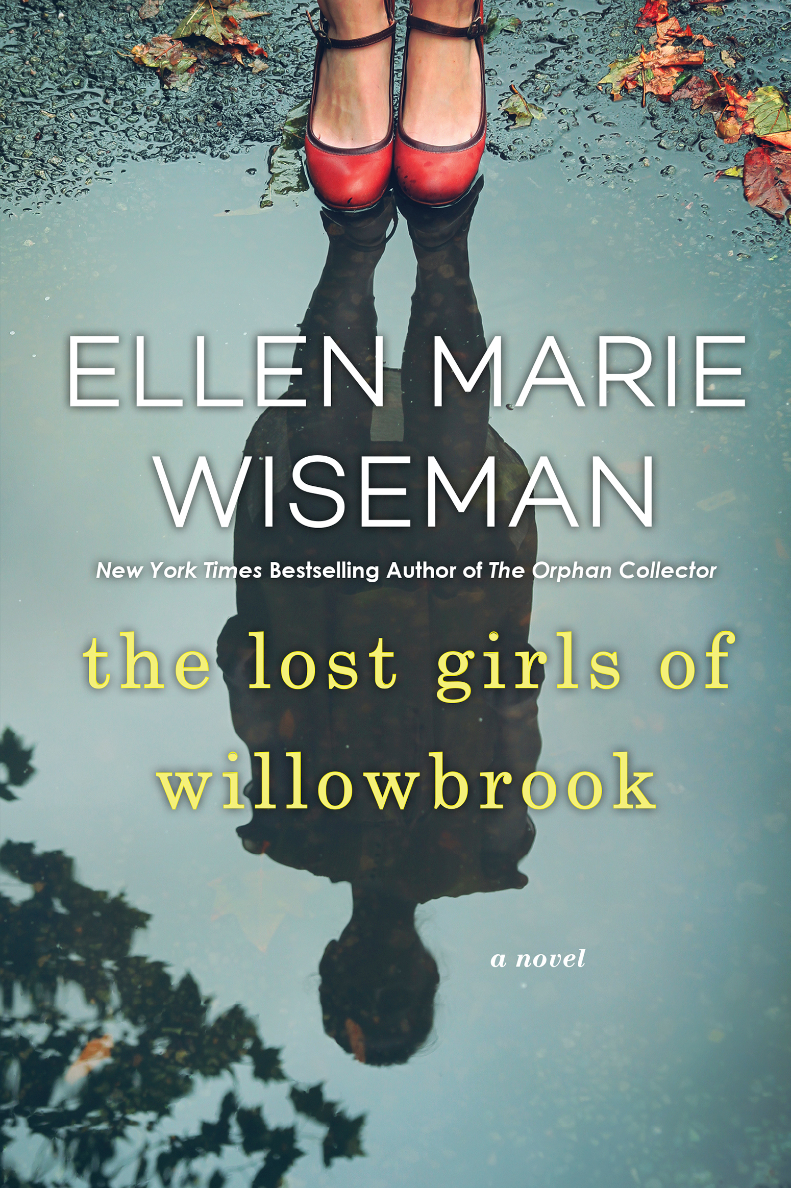 The Lost Girls of Willowbrook A Heartbreaking Novel of Survival Based on True History cover image