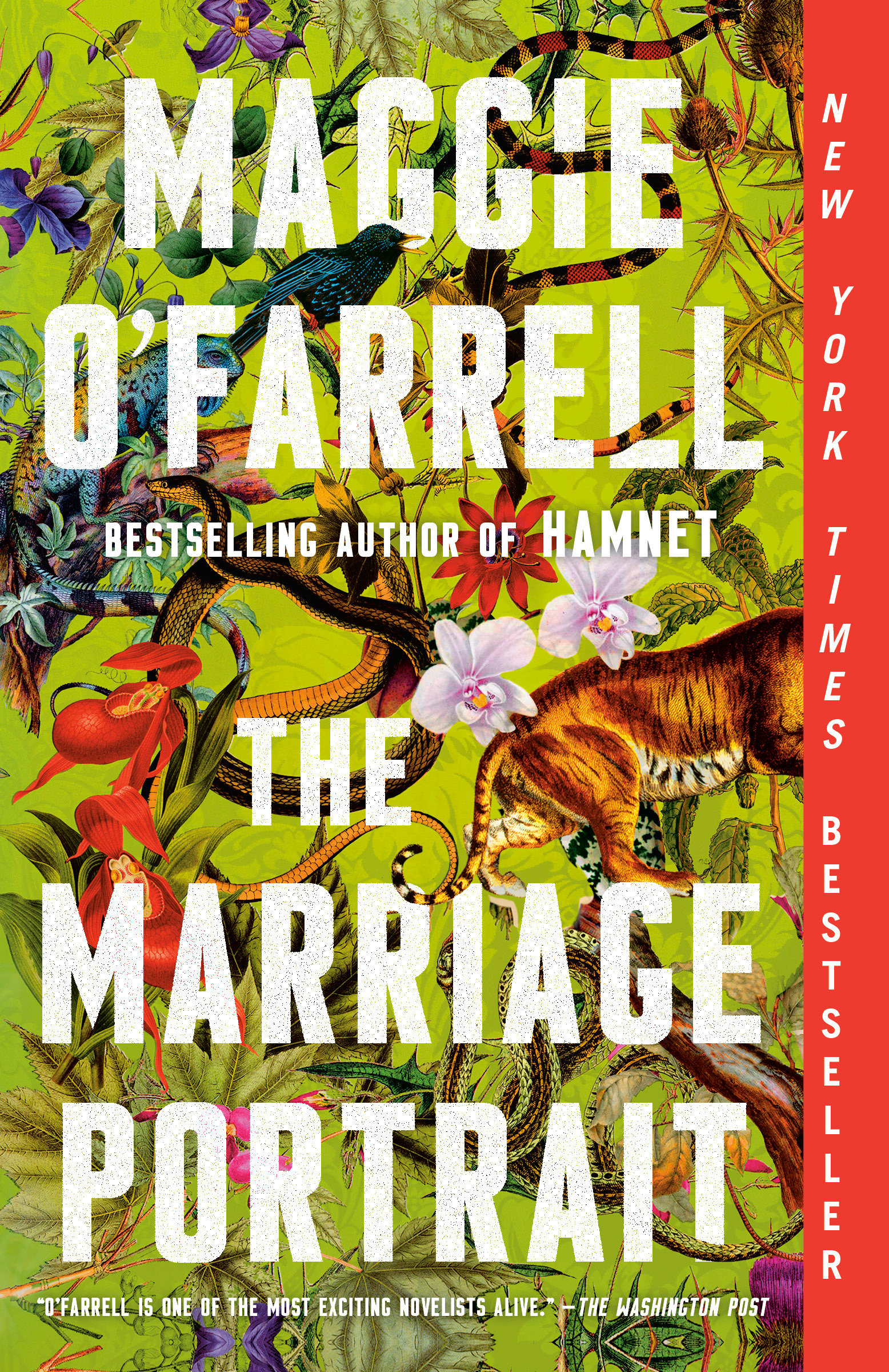 The Marriage Portrait A novel
