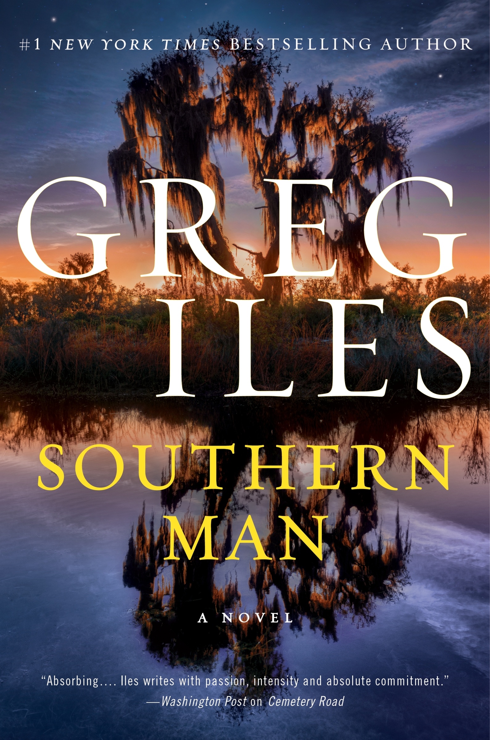 Southern Man cover image