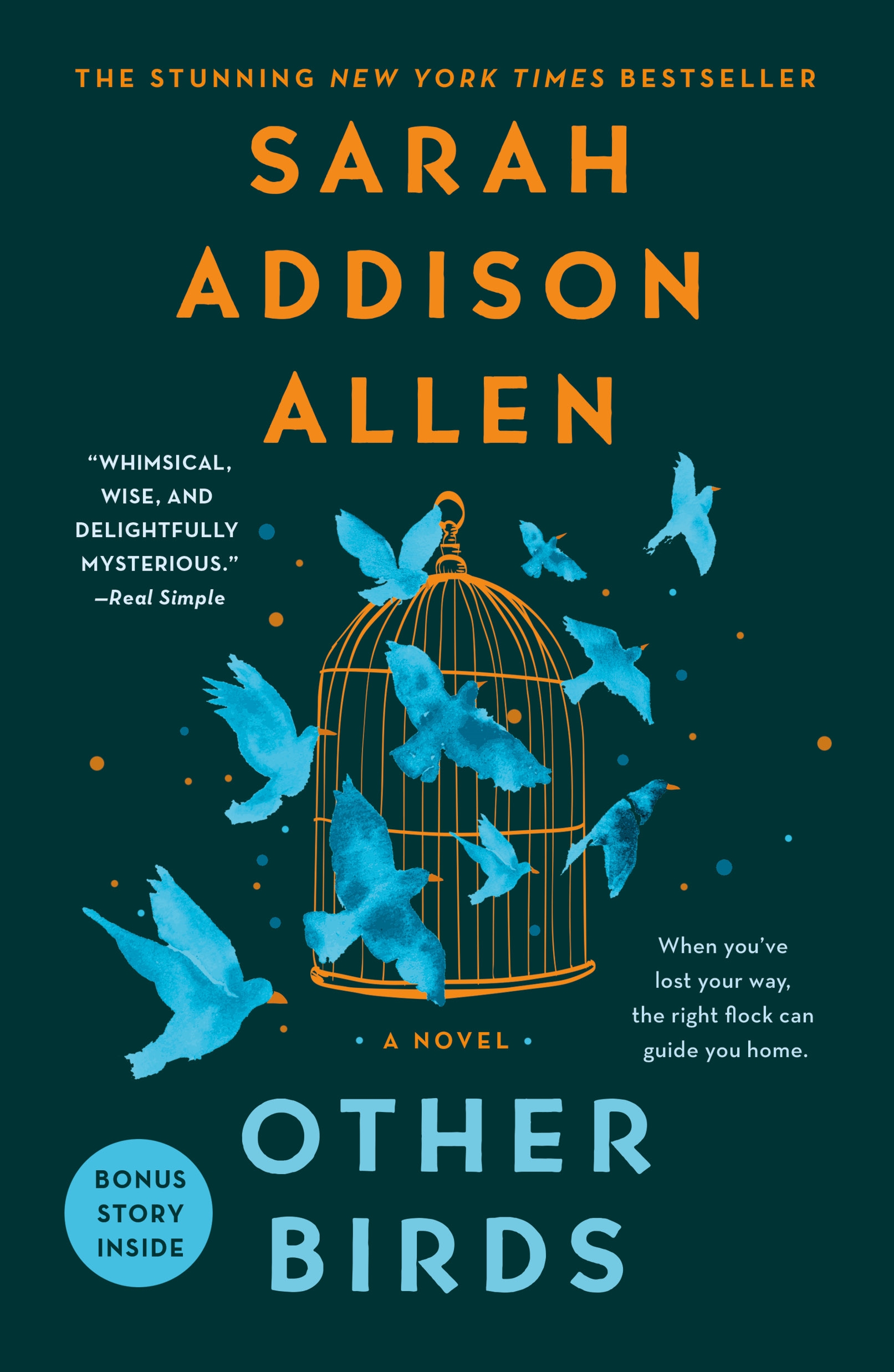 Other Birds cover image