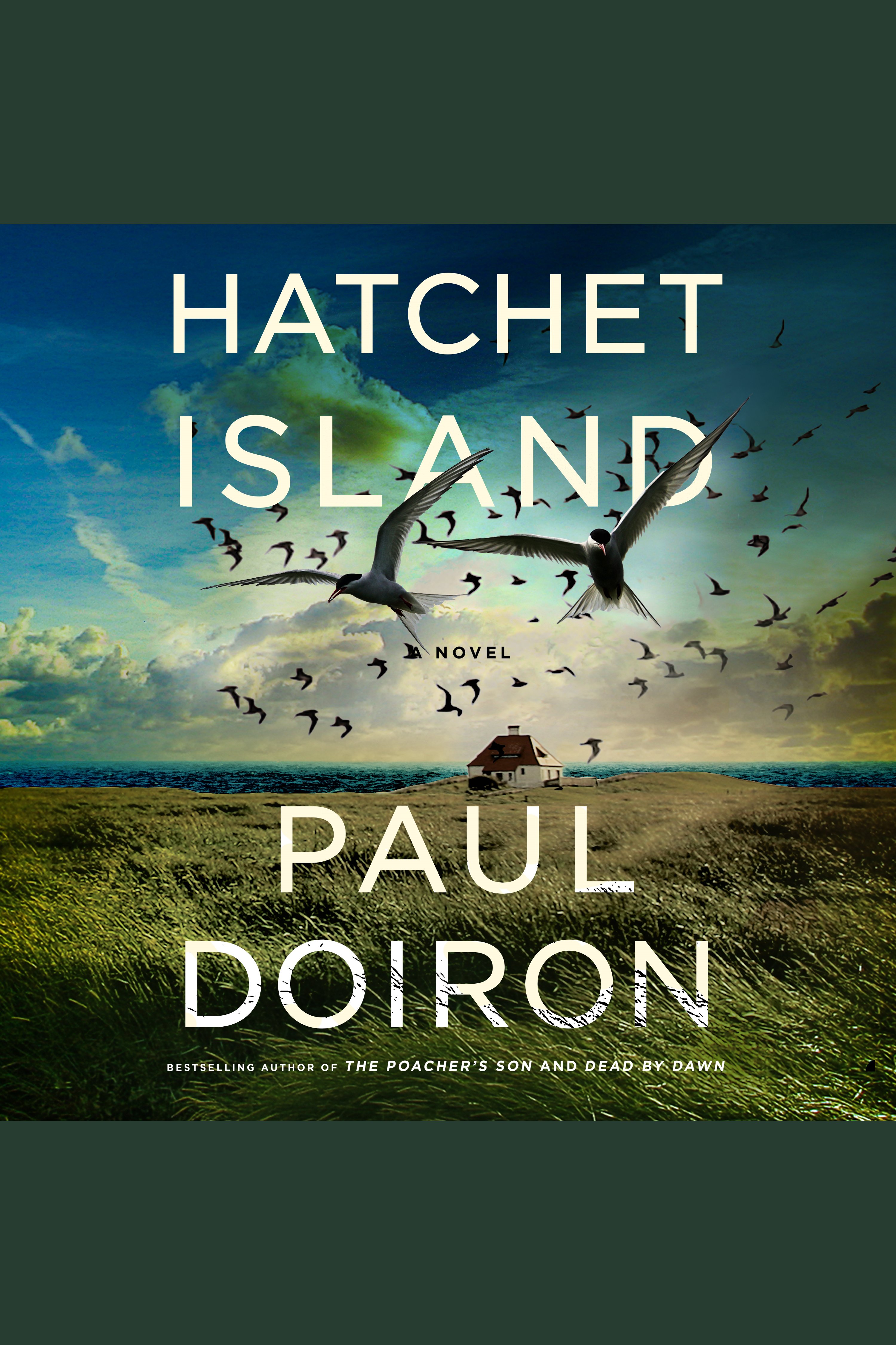 Umschlagbild für Hatchet Island [electronic resource] : A Novel